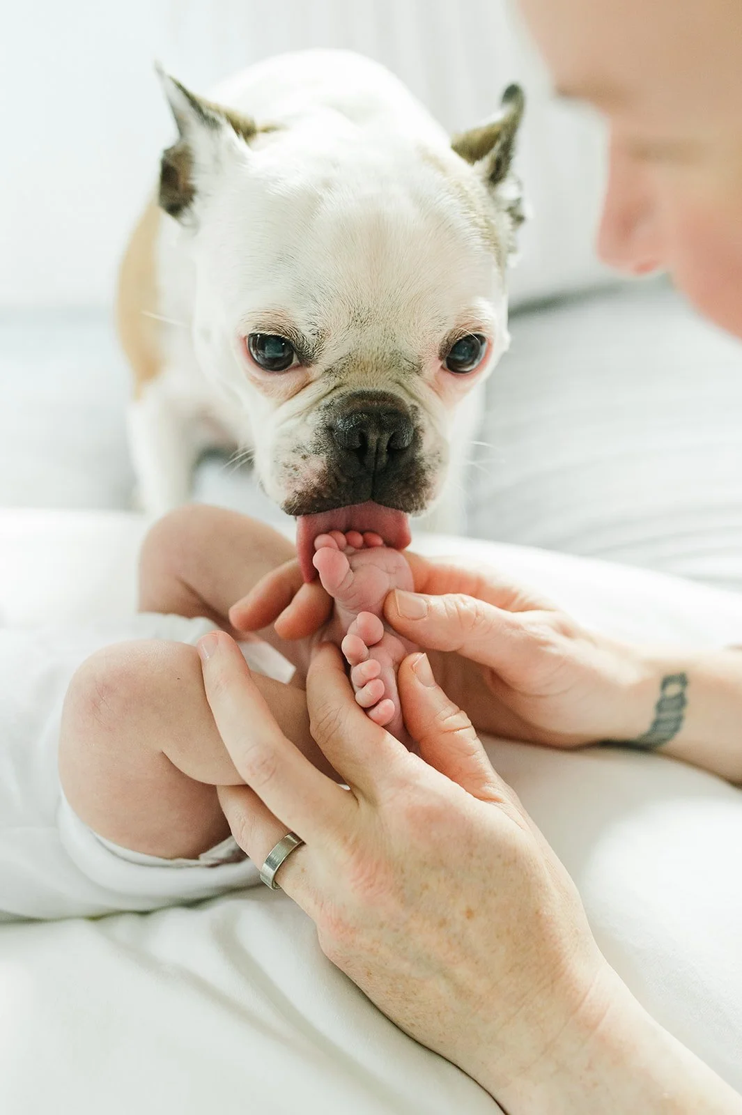 What to Expect at Your In-Home Newborn Session