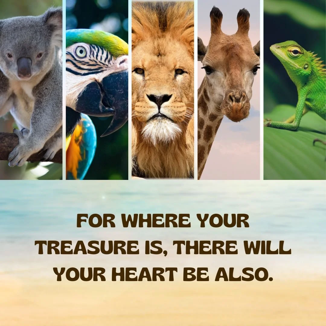 Youth pray daily. Mt. 6:21