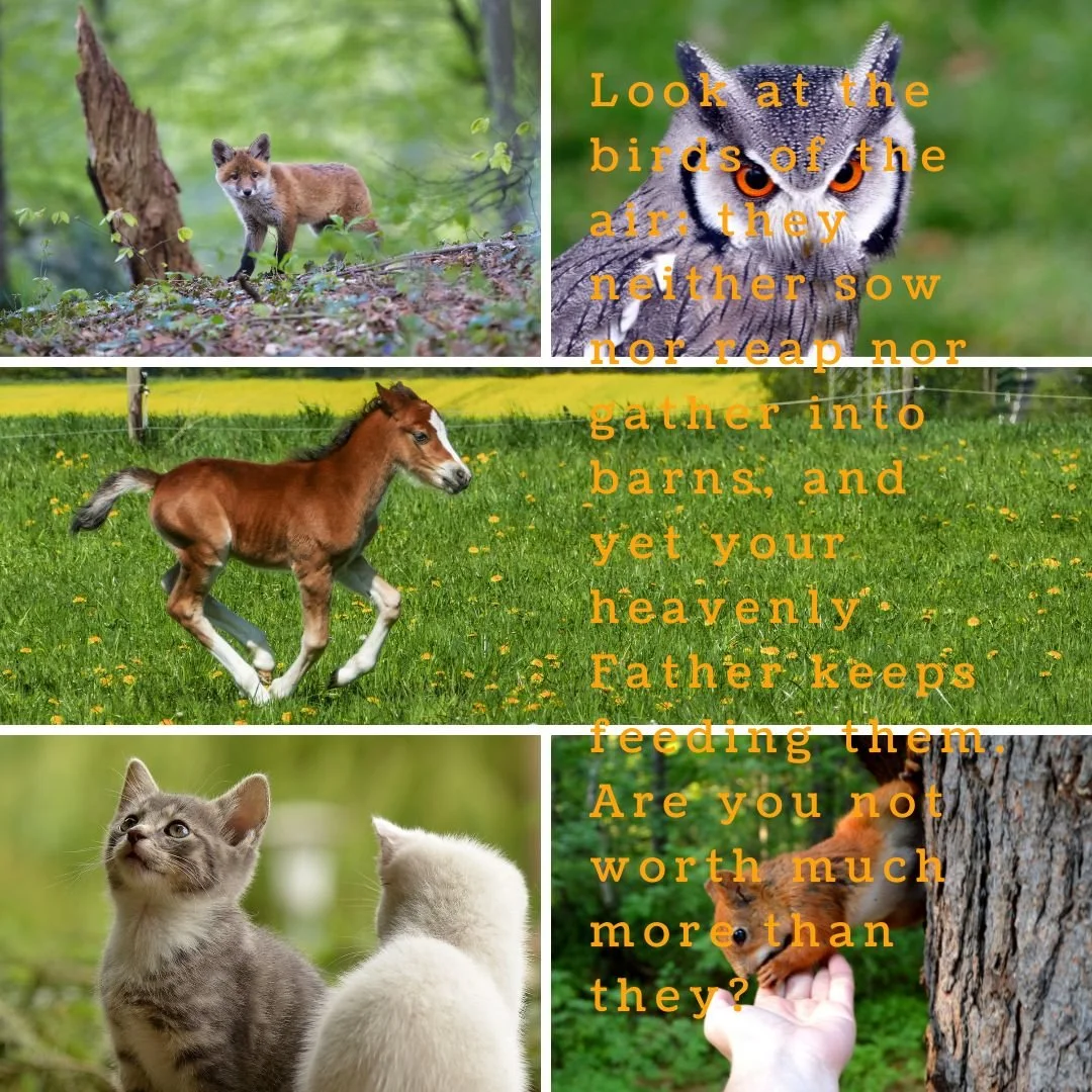 Youth pray daily. Mt. 6:26