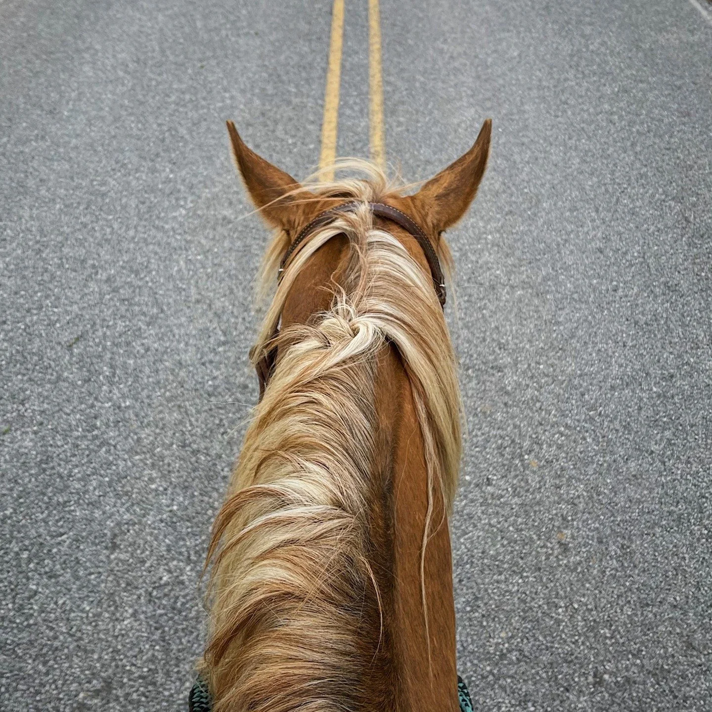 New Generation Heirforce Youth Are Strong and Courageous (Joshua 1:7-9)

Note takers: Include the message title, speaker&rsquo;s name, and date.
Get the Scripture references: Read these during the week for God to guide you.
Hear the Holy Spirit: What