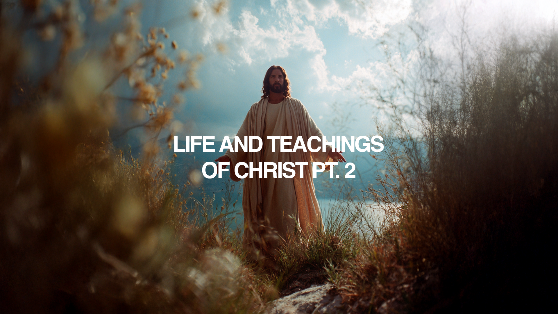 LIFE AND TEACHINGS OF CHRIST 2.png (Copy)