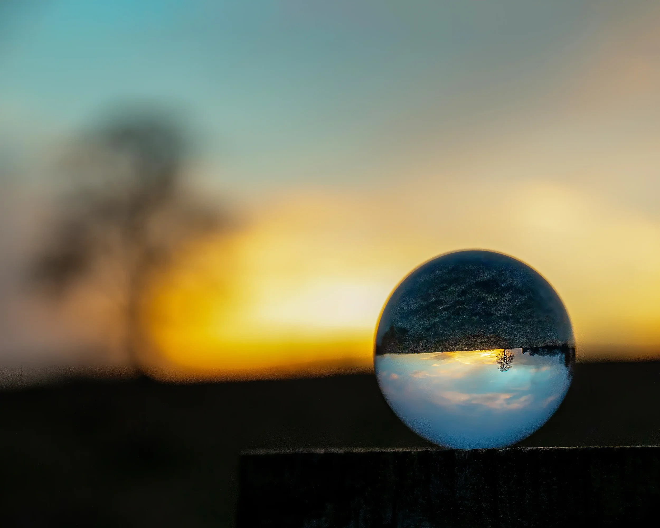 The Light We Take Away