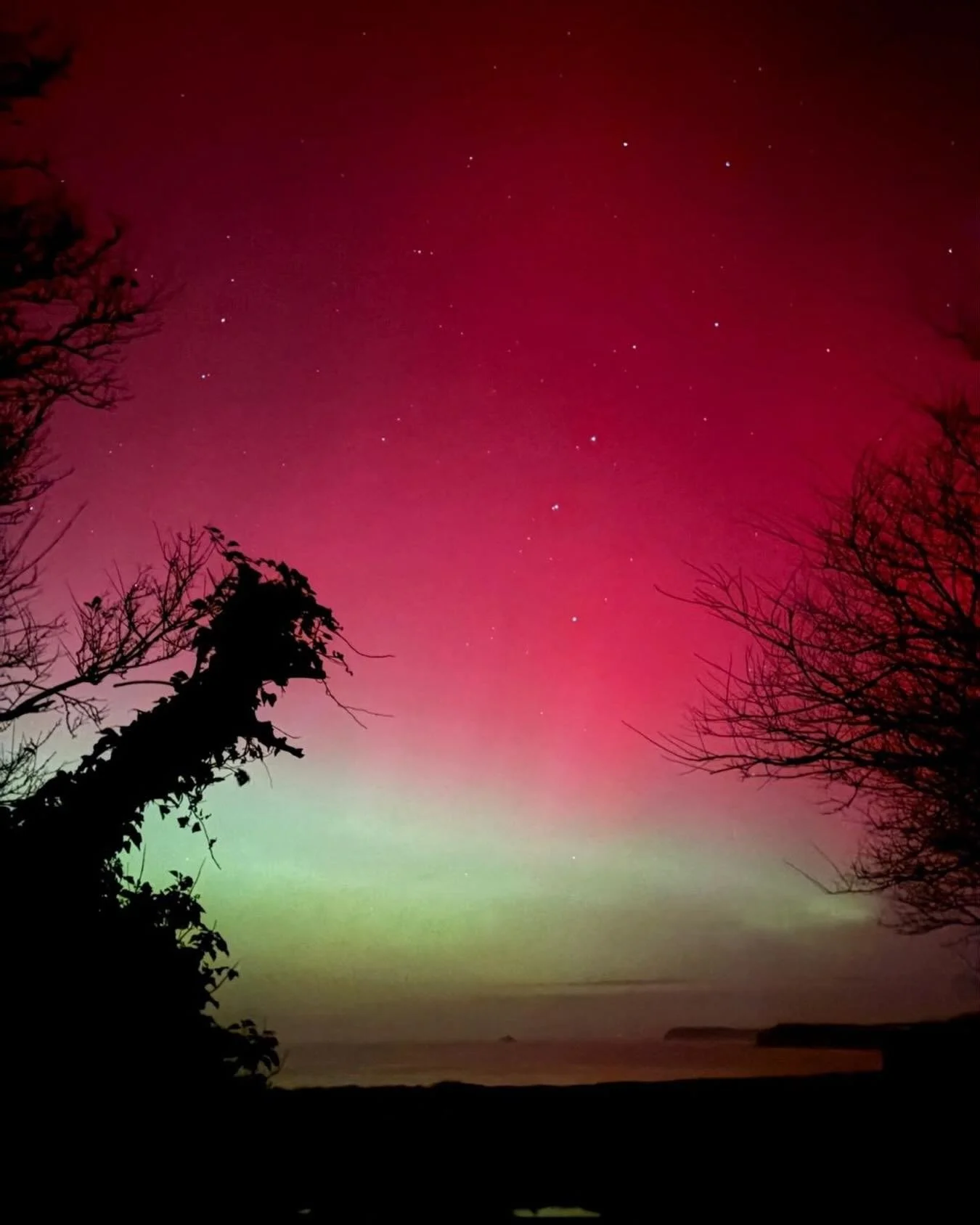 Well we didn&rsquo;t expect to see that last night! The magical aurora borealis viewed from Booby&rsquo;s Lane 💫  We are so lucky to have such dark skies without any light pollution - the stars were out in full force too ⭐️ What a night!  #cornwall 