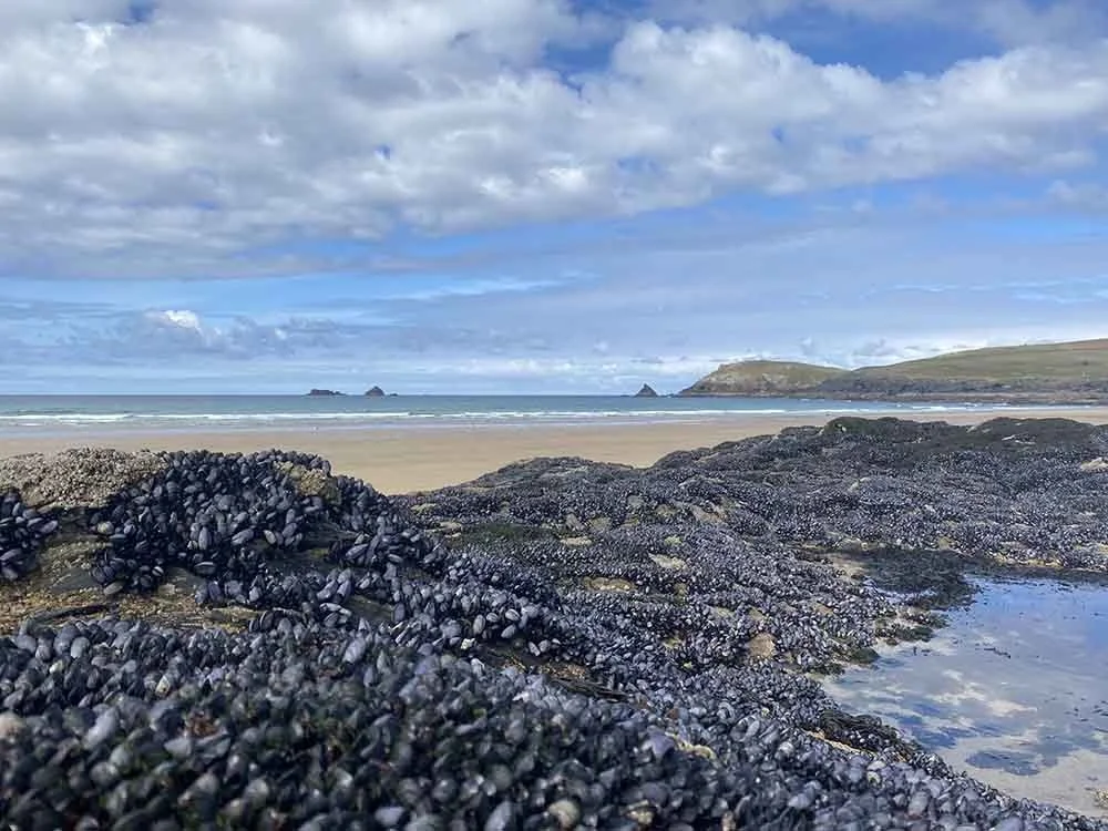 Winter Magic in Porthcothan Bay