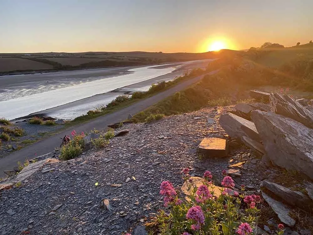 Bridge Bike Hire Early morning cycle along the camel trail