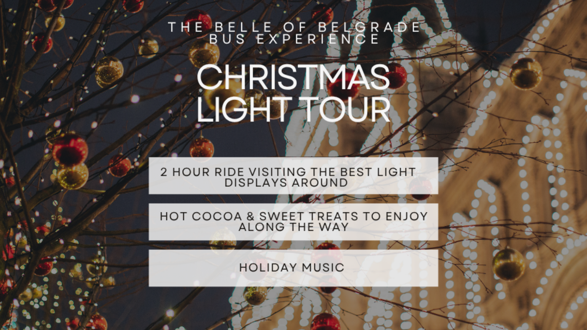 christmas light tour public.png (Copy)