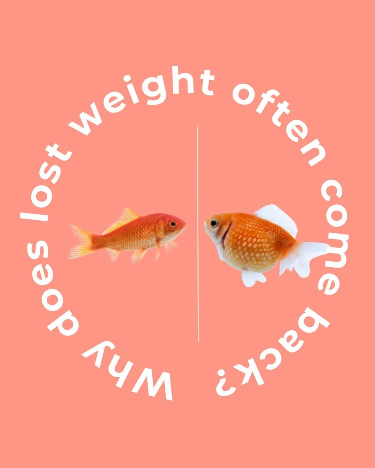 Why does lost weight often come back? 

Rapid weight loss can lead to sagging skin and a loss of muscle tone, and many individuals regain the weight, sometimes exceeding their original amount. 

Quick-fix solutions or appetite-suppressing medications