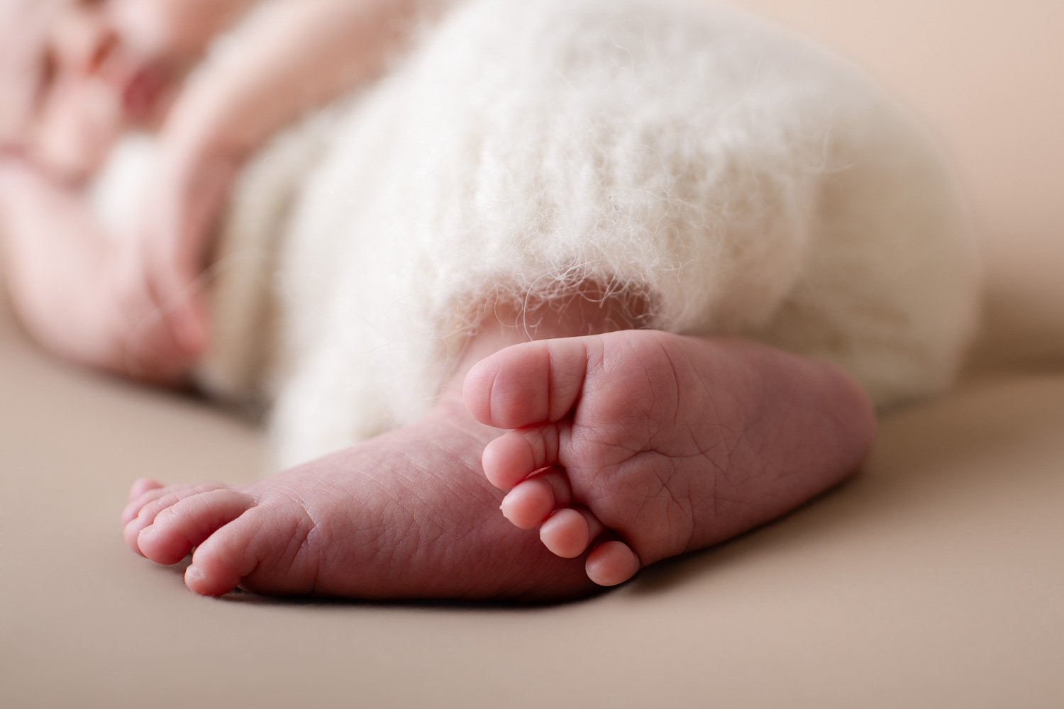 newborn baby boy studio photography, creams and tans, baby toes