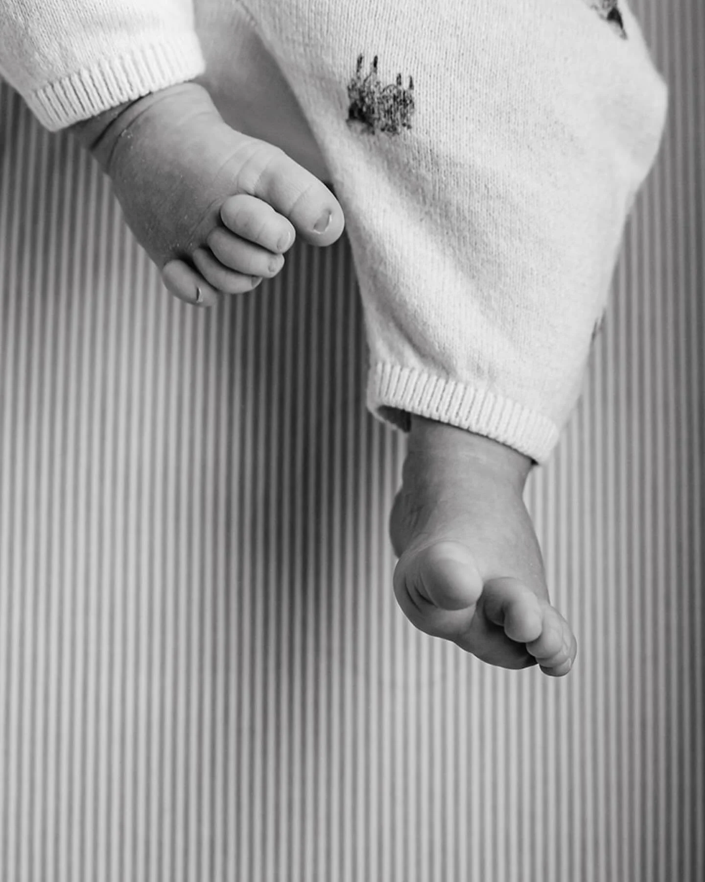 I&rsquo;ve had the joy of photographing this family for years, and it&rsquo;s been such a treat watching them welcome more little ones into the crew! Welcome to the world, sweet boy&mdash;you&rsquo;re already so loved and destined for plenty of wrest