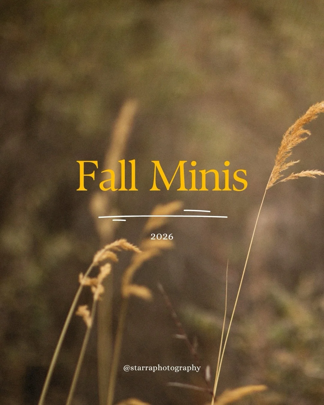 F a l l  M i n i s 🐿️

~Locations tbd closer to the dates (one teaser, Oct 24th I&rsquo;ll be at the pines in Powassan) 
~Booking link in bio 

🤎 Holly Starra - your North Bay &amp; area photographer