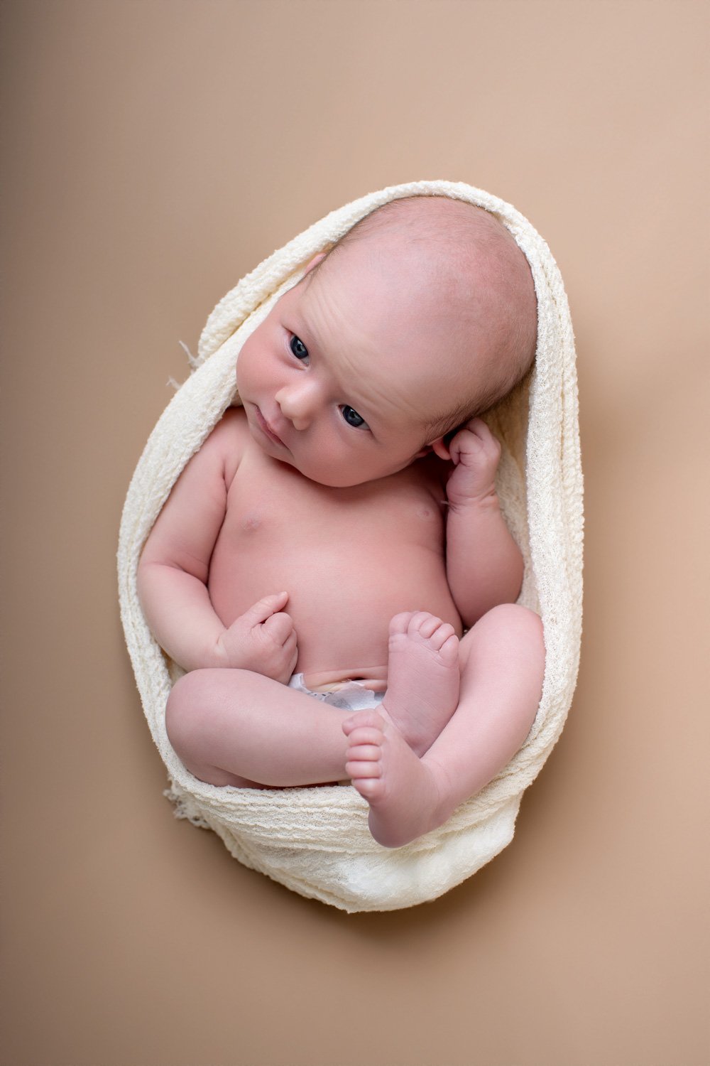 baby newborn studio photo north bay ontario