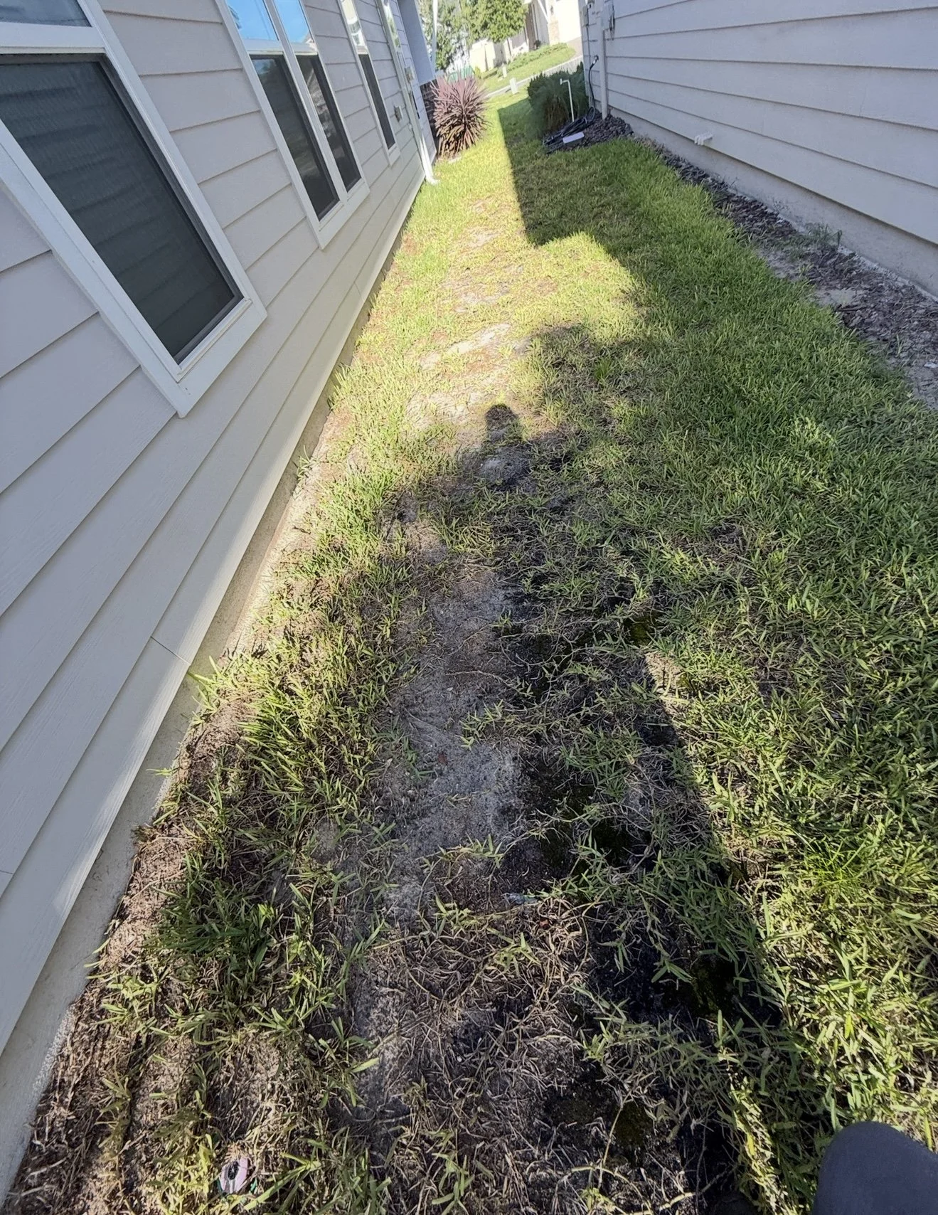 Case Study: Why Isn’t My Grass Growing on the Side of My House?