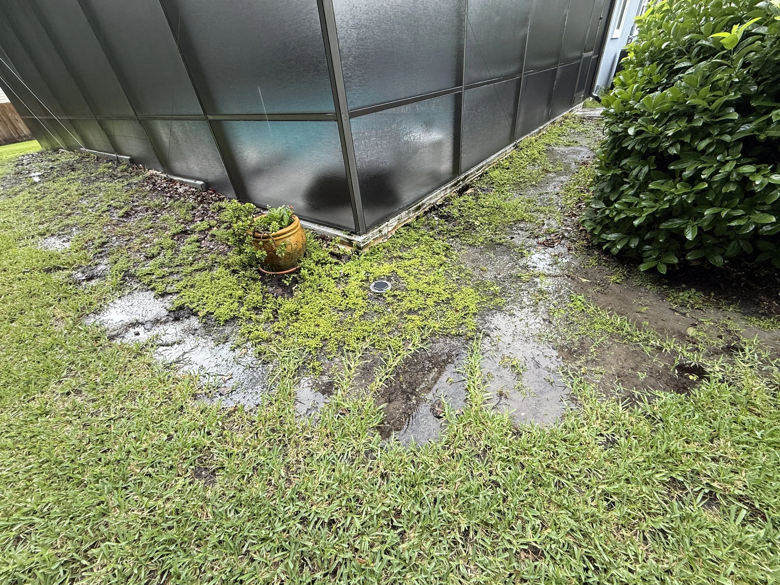 Why Is My Yard Holding Water After Rain in Jacksonville?