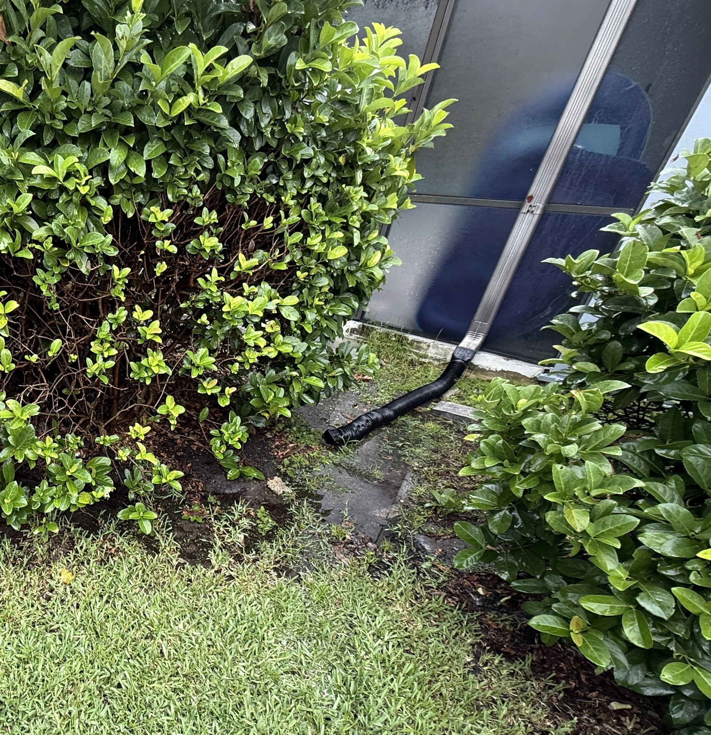 Signs Your Downspouts Are Causing Foundation Problems in Florida