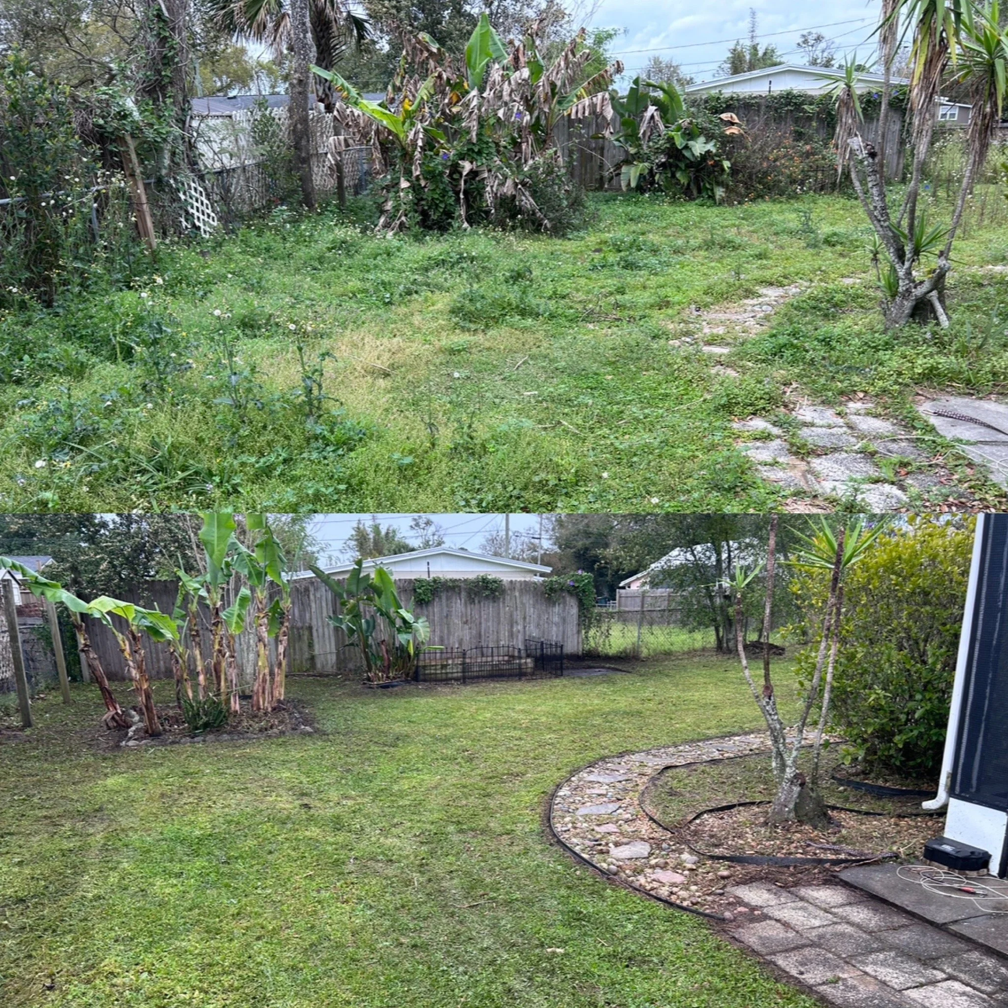 Comparison of a backyard before and after cleanup. The top shows overgrown yard with weeds and dead plants; the bottom depicts a neatly mowed lawn with trimmed bushes, healthy plants, and a clean patio area.