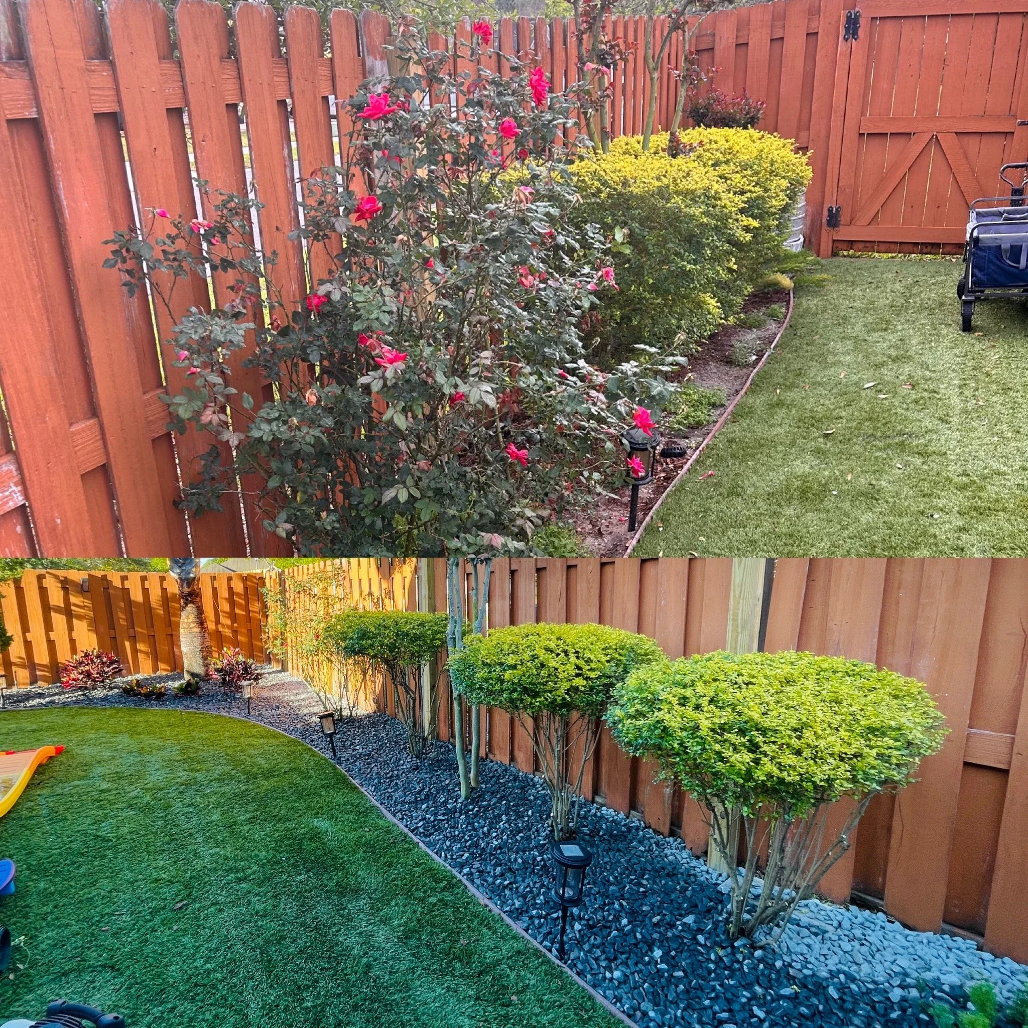 Before and after images of a backyard garden renovation, showing removal of flowering bushes and the planting of trimmed, round green shrubs along a wooden fence, with new black rock mulch and lighting.