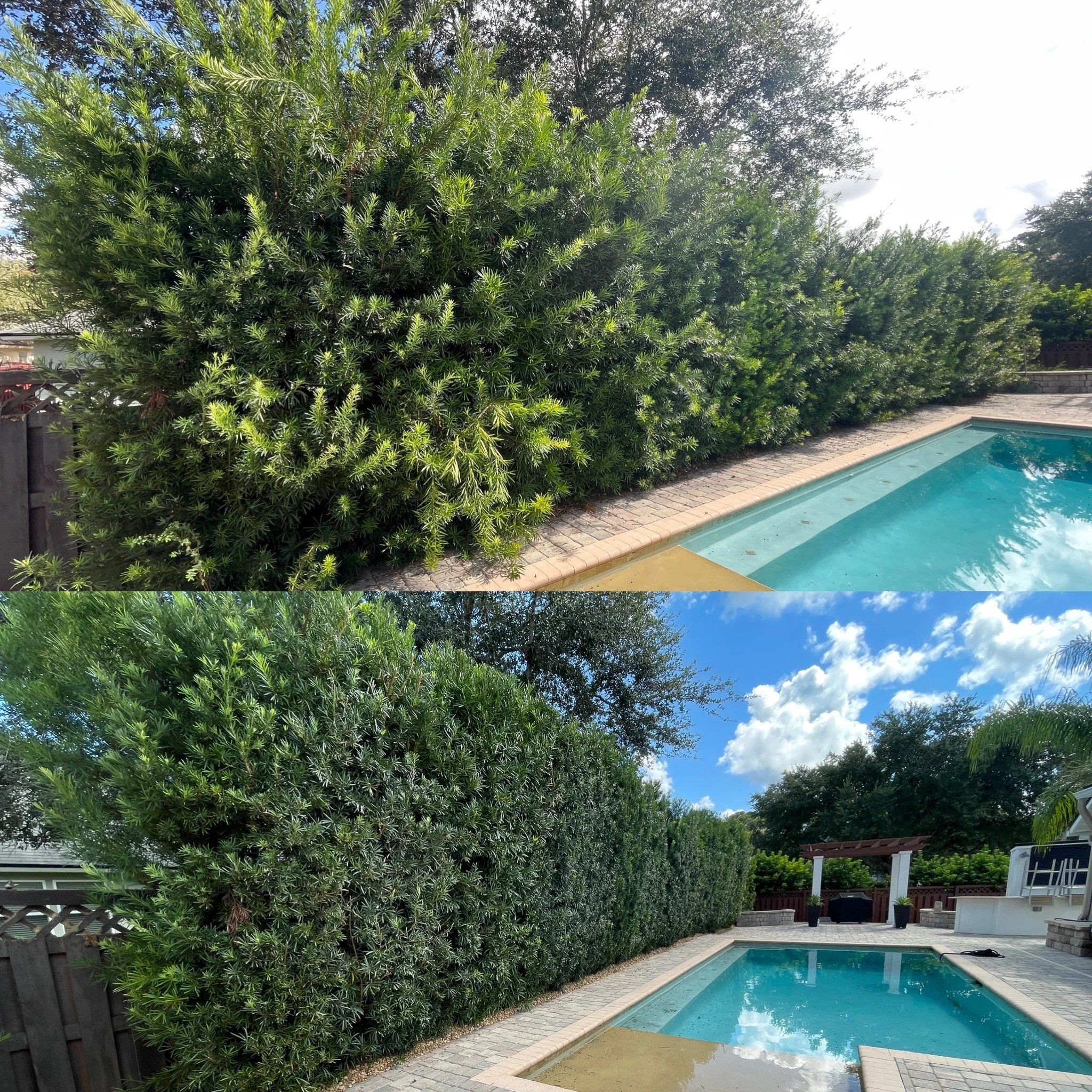 A backyard scene with tall, dense green bushes beside a swimming pool. The sky is blue with scattered white clouds. In the background, there is a pergola and a small pavilion. The pool is partially filled with water, and the area around it is paved with bricks.