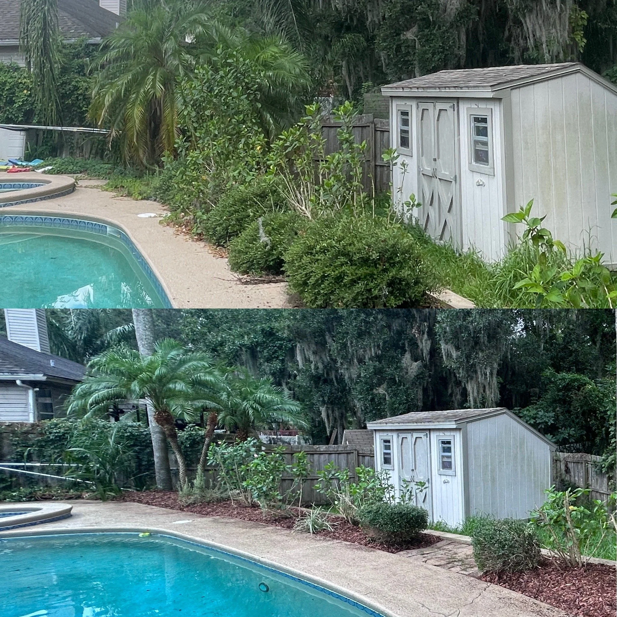 Comparison of a backyard with a swimming pool, showing overgrown bushes and trees in the top image, and trimmed bushes and a cleaner yard in the bottom image.