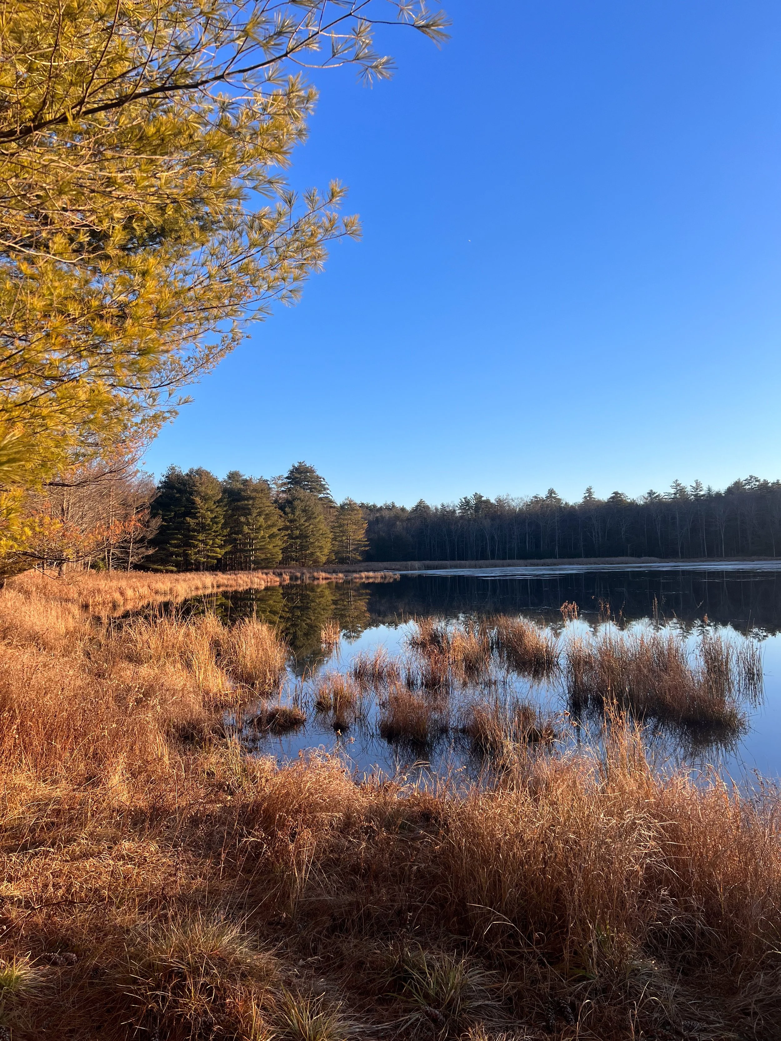 Humanists Too - AA Meeting 