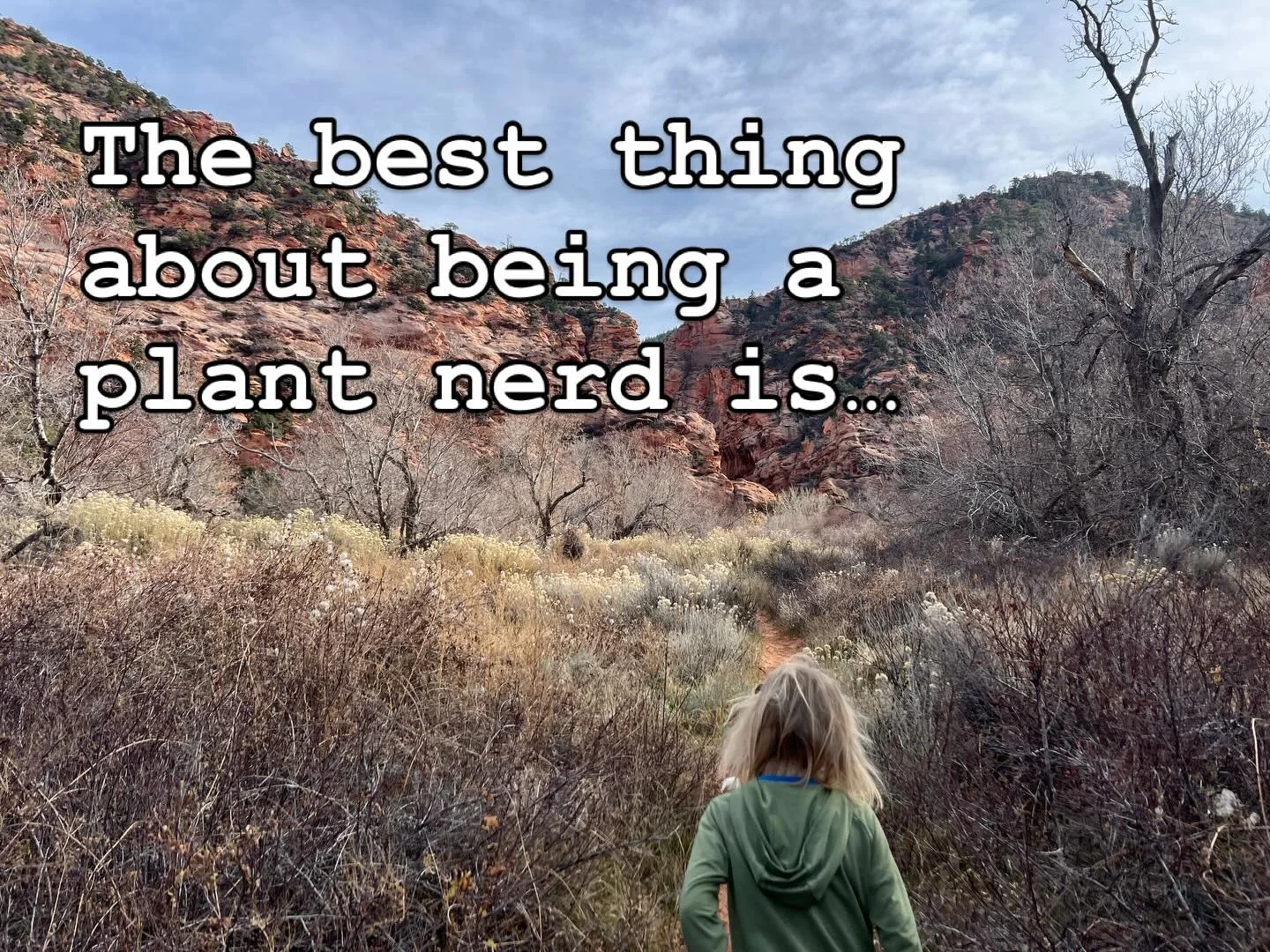Great hike outside of Cedar City, UT while vacationing with a bunch of family. OH the delight of the west -wide skies and red rocks. I love how all the plants seem new and yet we already know so many of them. Really the Rhus was a delight. I&rsquo;ve
