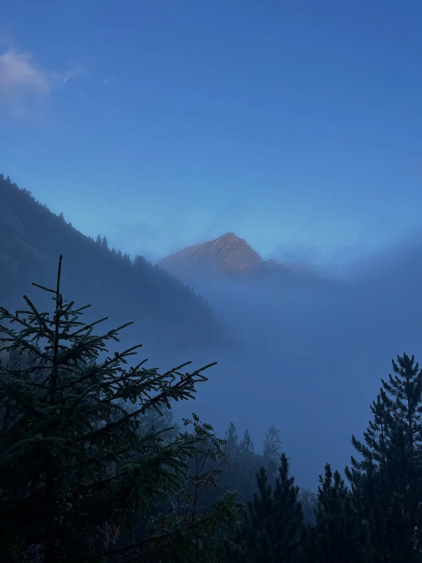 &ldquo;allg&auml;u again next year.&rdquo;
( - Mickey 2025)