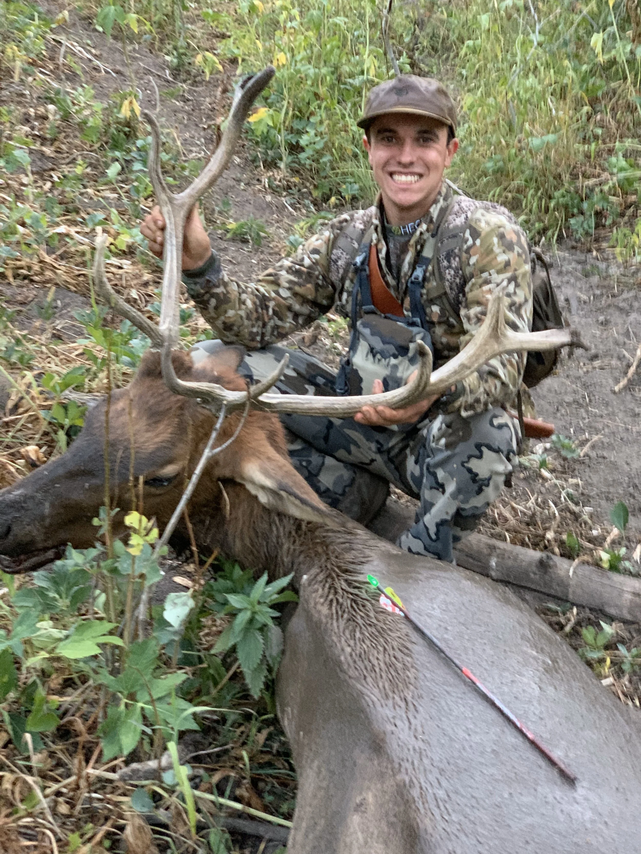 4. Archery elk.jpeg