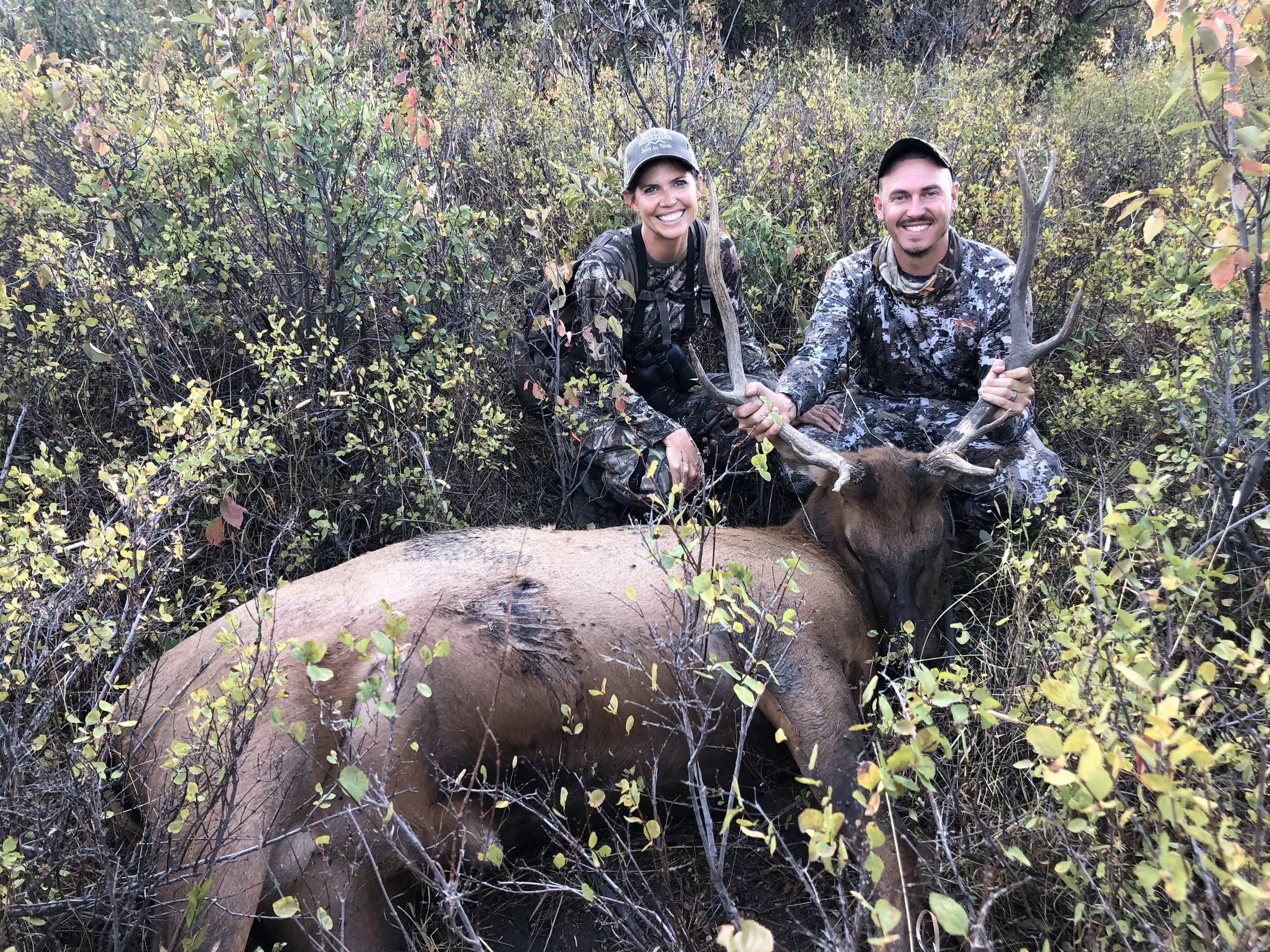 3. Archery elk.jpeg