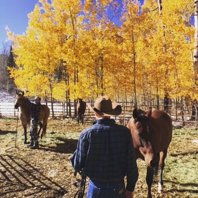 fall leaves and horses.jpg