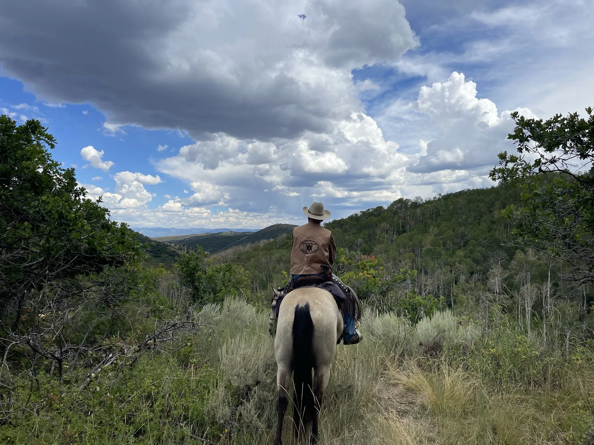3. RV - Jeff riding tan horse overlooking mountains - mostly cloudy sky with some dark clouds.jpeg