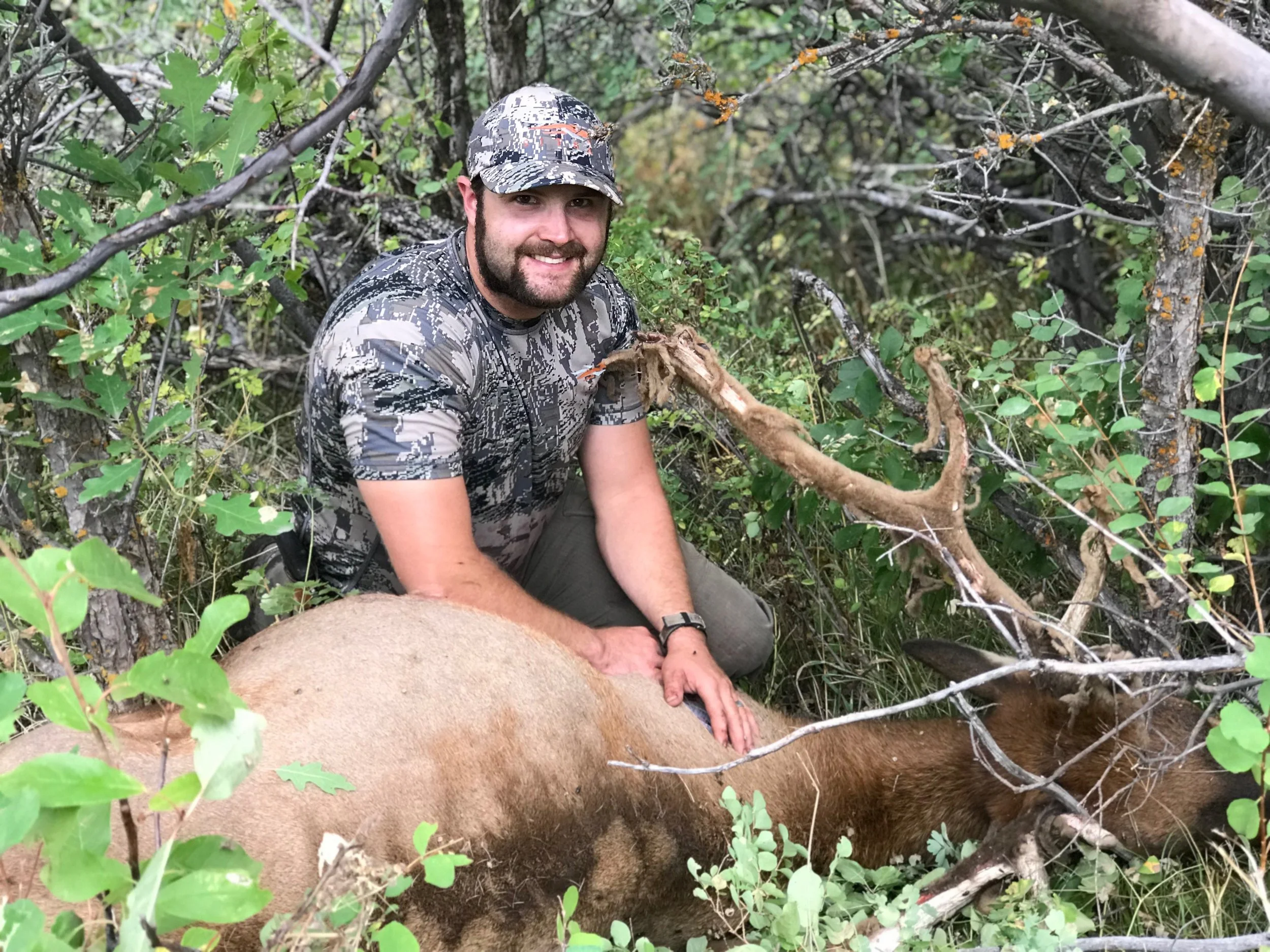 2. AE - David and elk.jpg
