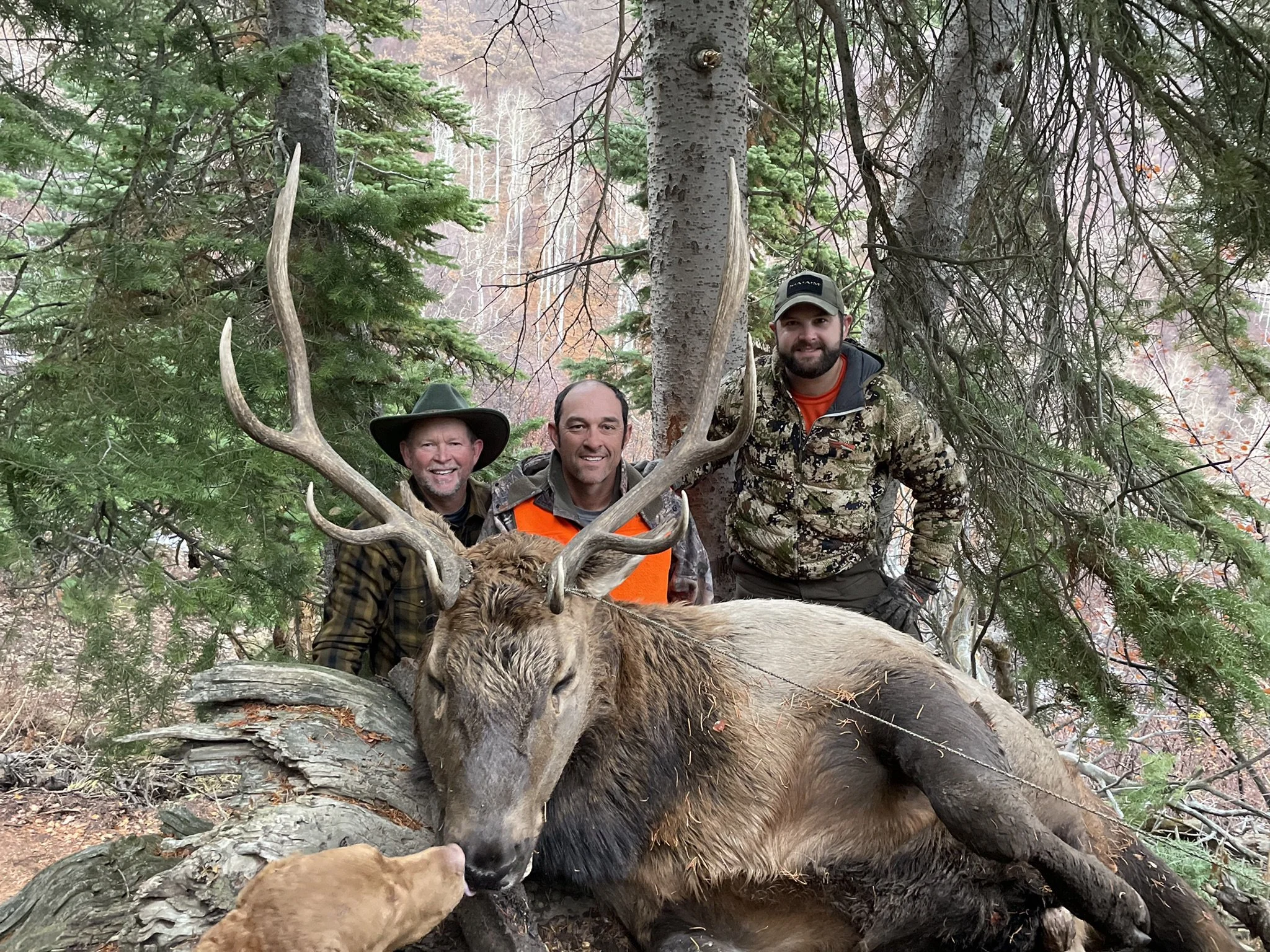 1. RE - Jeff Gary and David with elk.jpeg