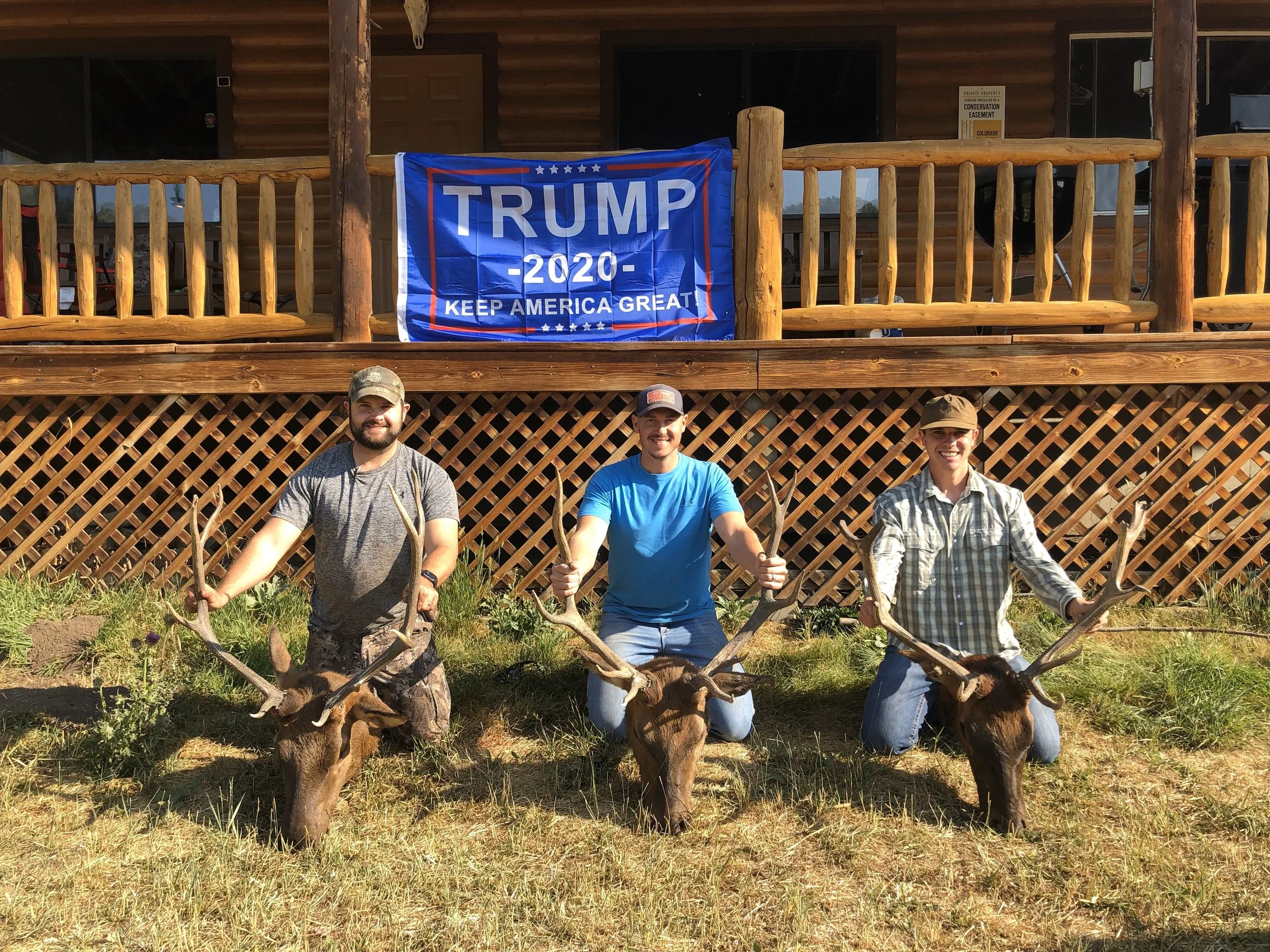 2. Archery elk.jpeg