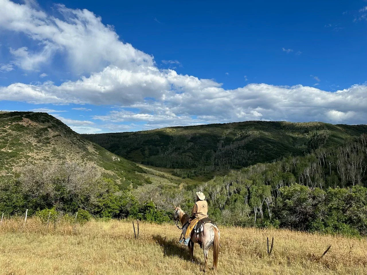 17. RV - Jeff mountains and sky.jpg