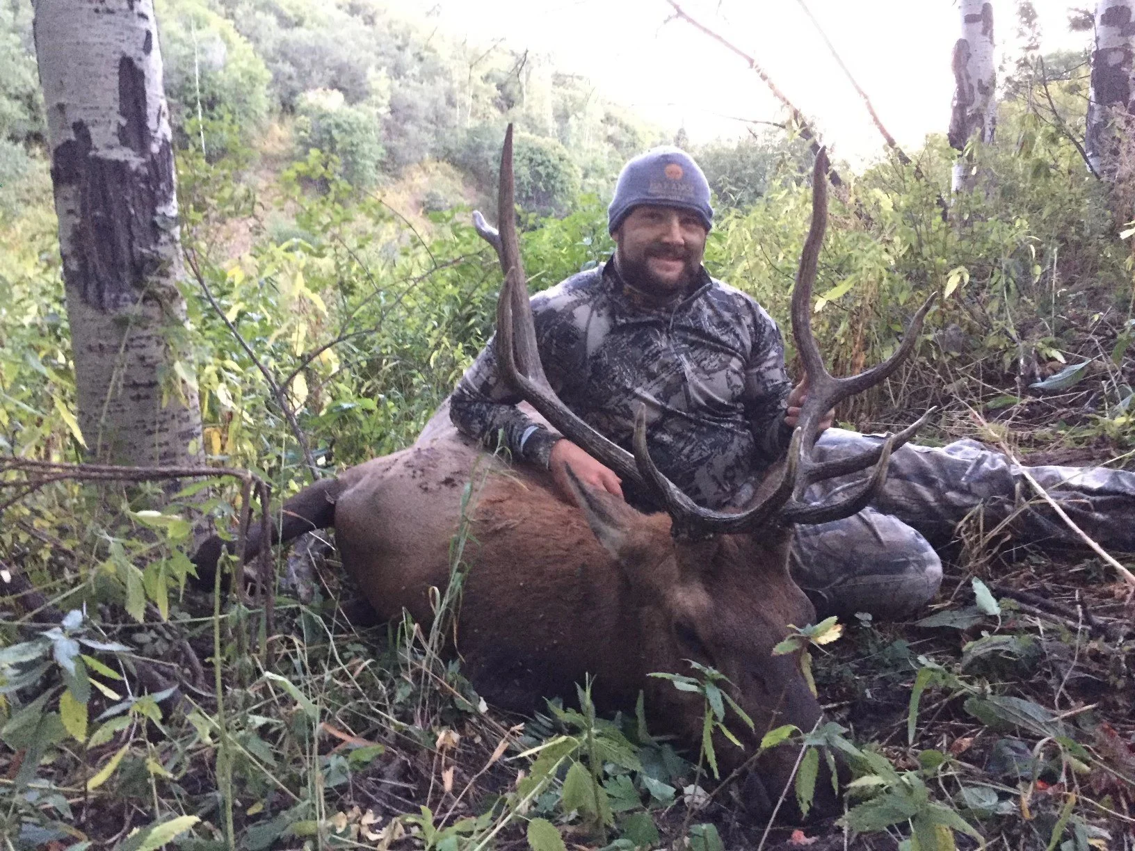 1. Archery elk.jpeg