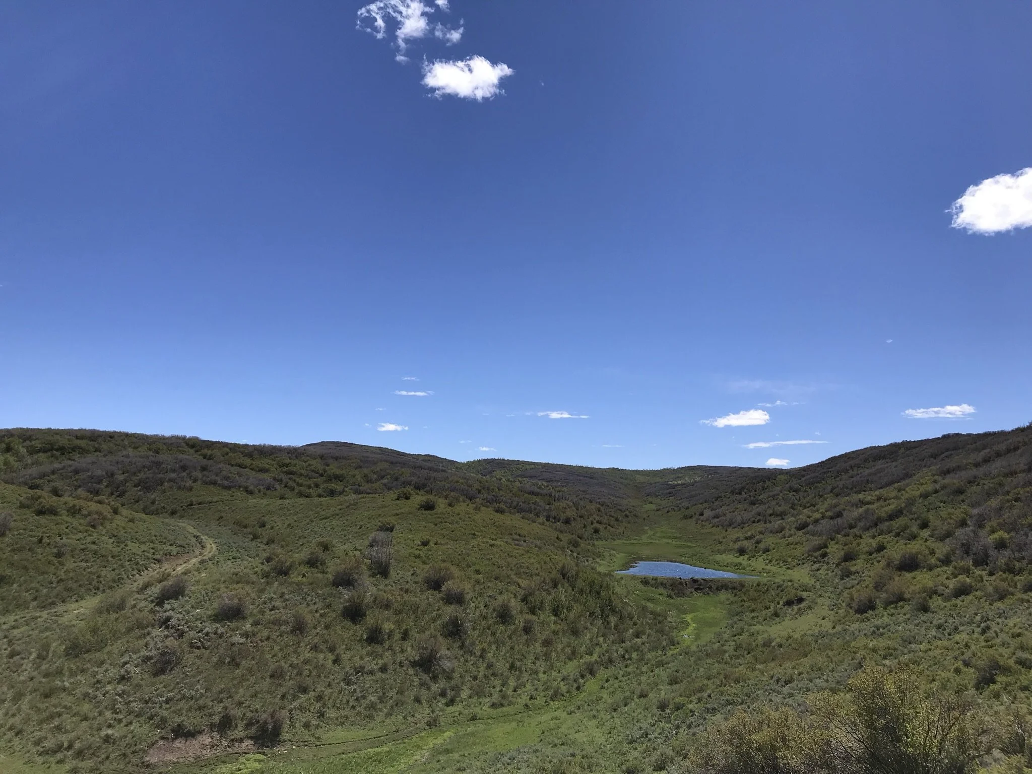 6. RV - scenic view - one pond grassy mountains and sky mostly blue with small clouds.jpeg
