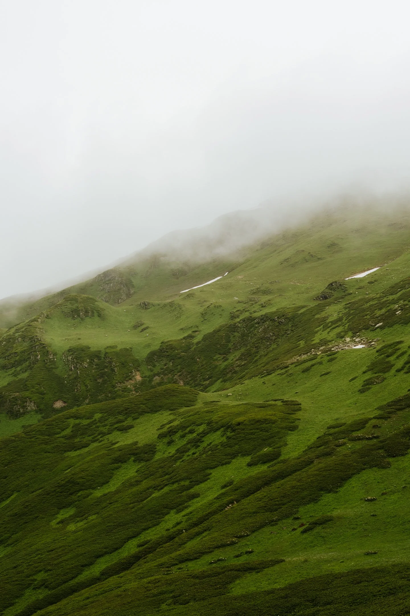 DSCF0329.jpg