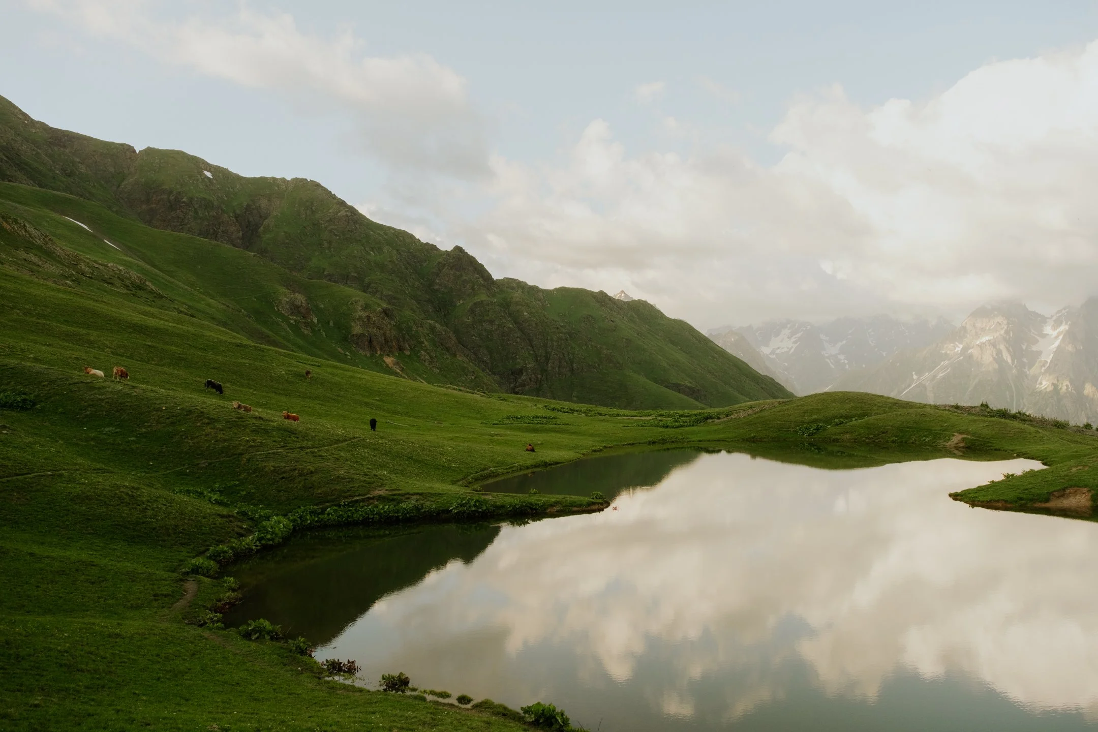 DSCF0142.jpg