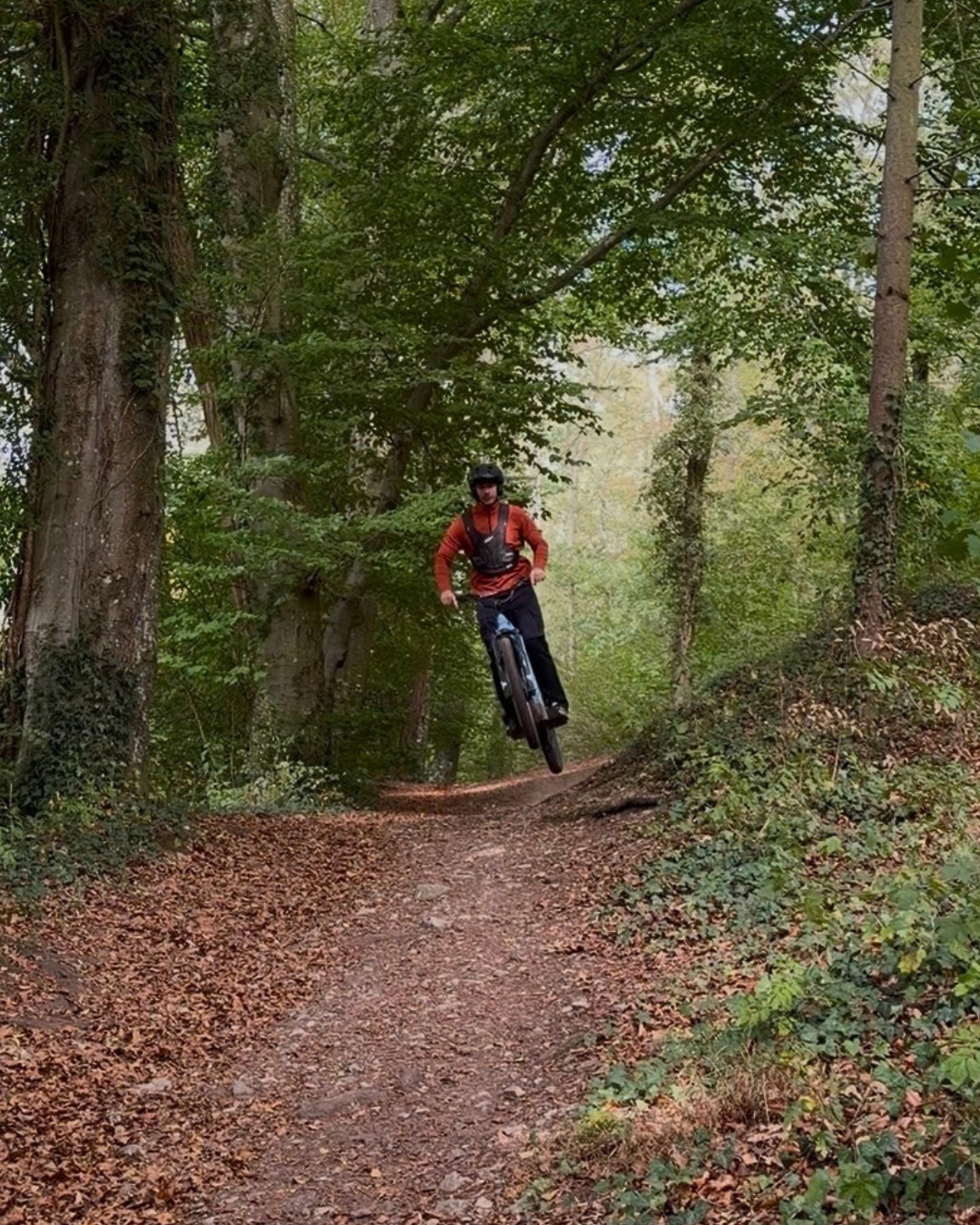 Un cycliste en plein saut sur un sentier forestier entouré d'arbres.