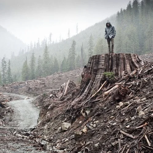 Trebbe Johnson on Bearing Witness to Wounded Places