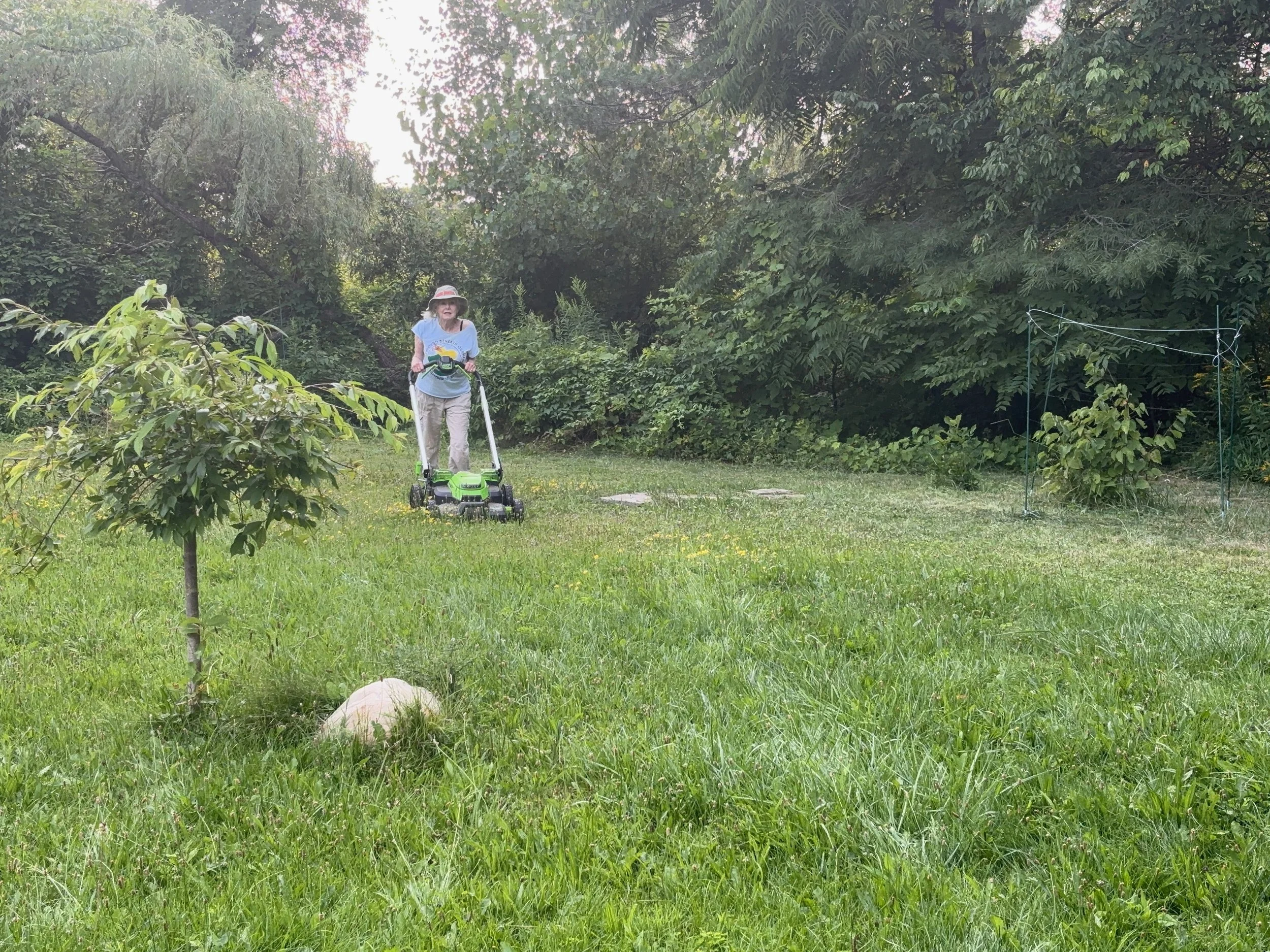 Learning patience from my lawn mower