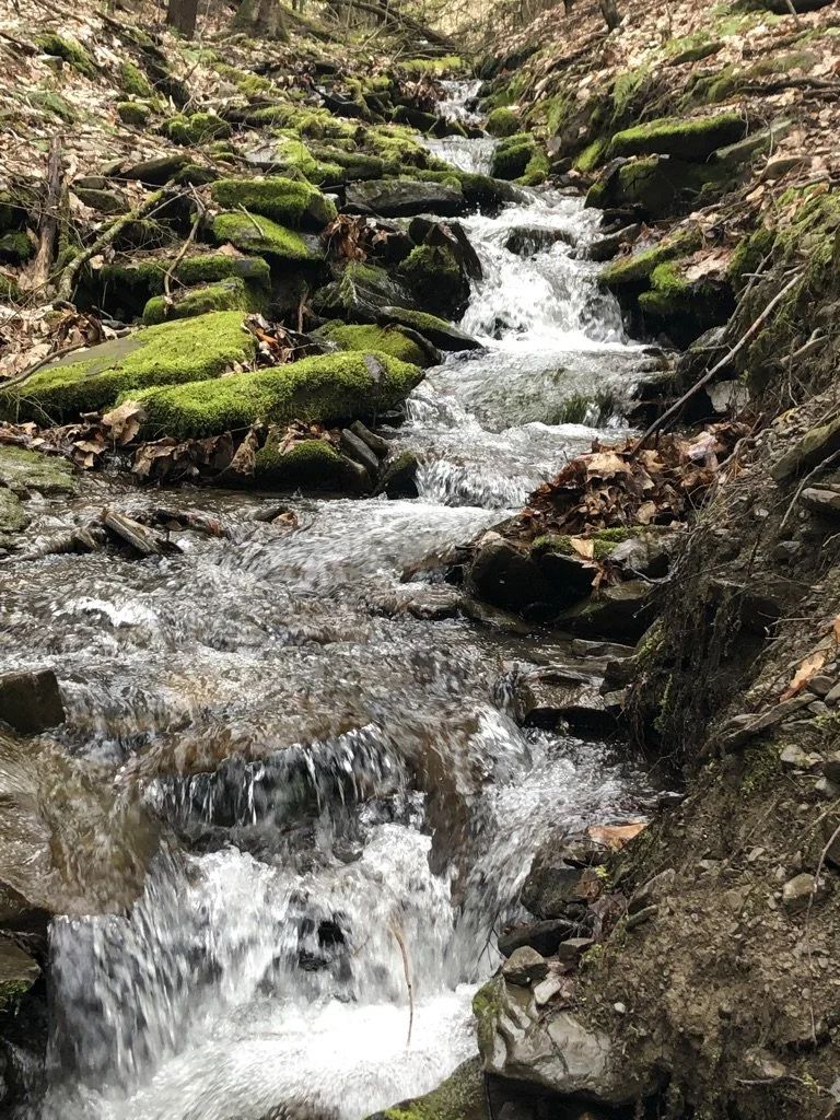 Week Two — March 10