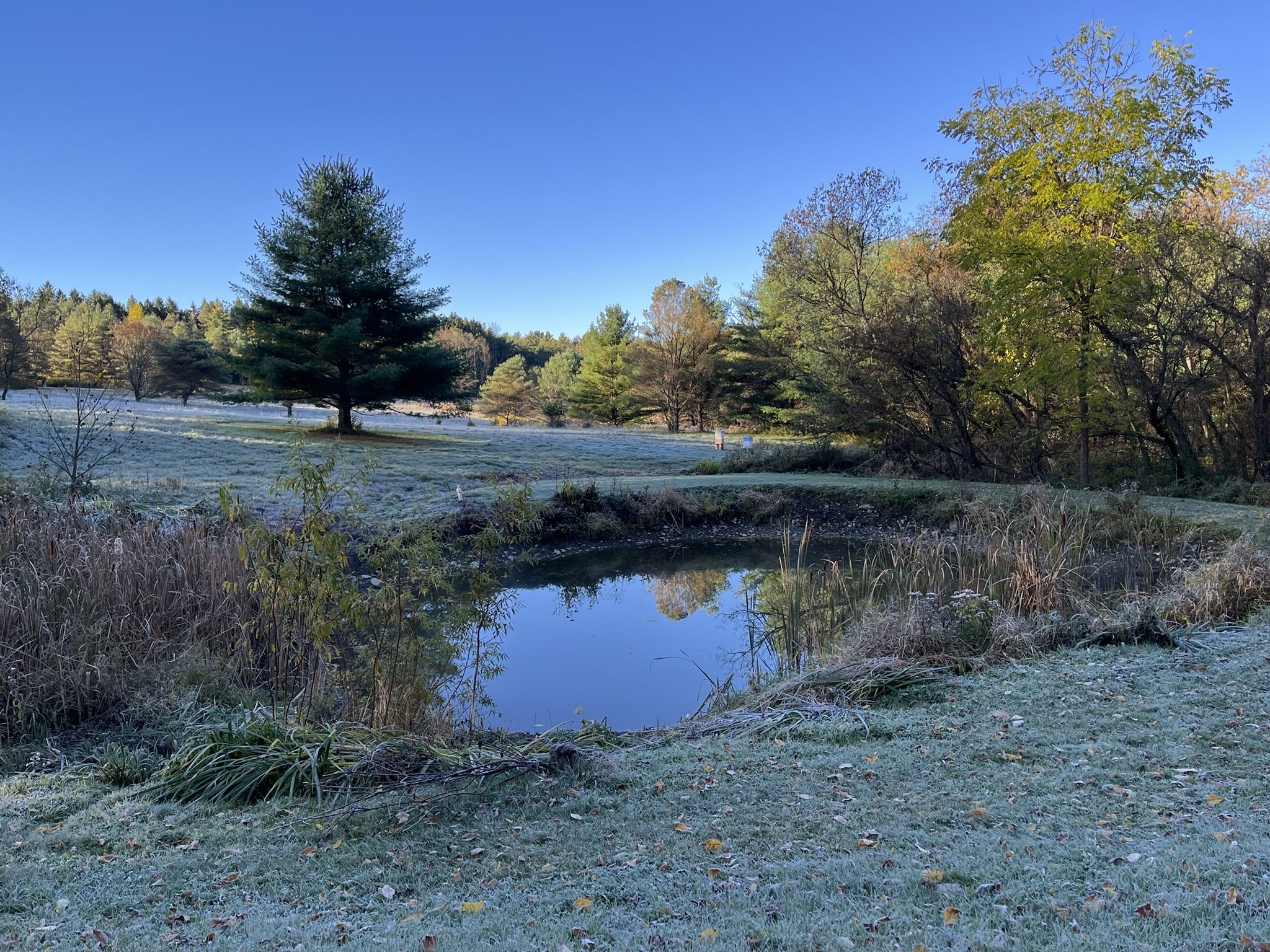 Week Eight — Sept. 8