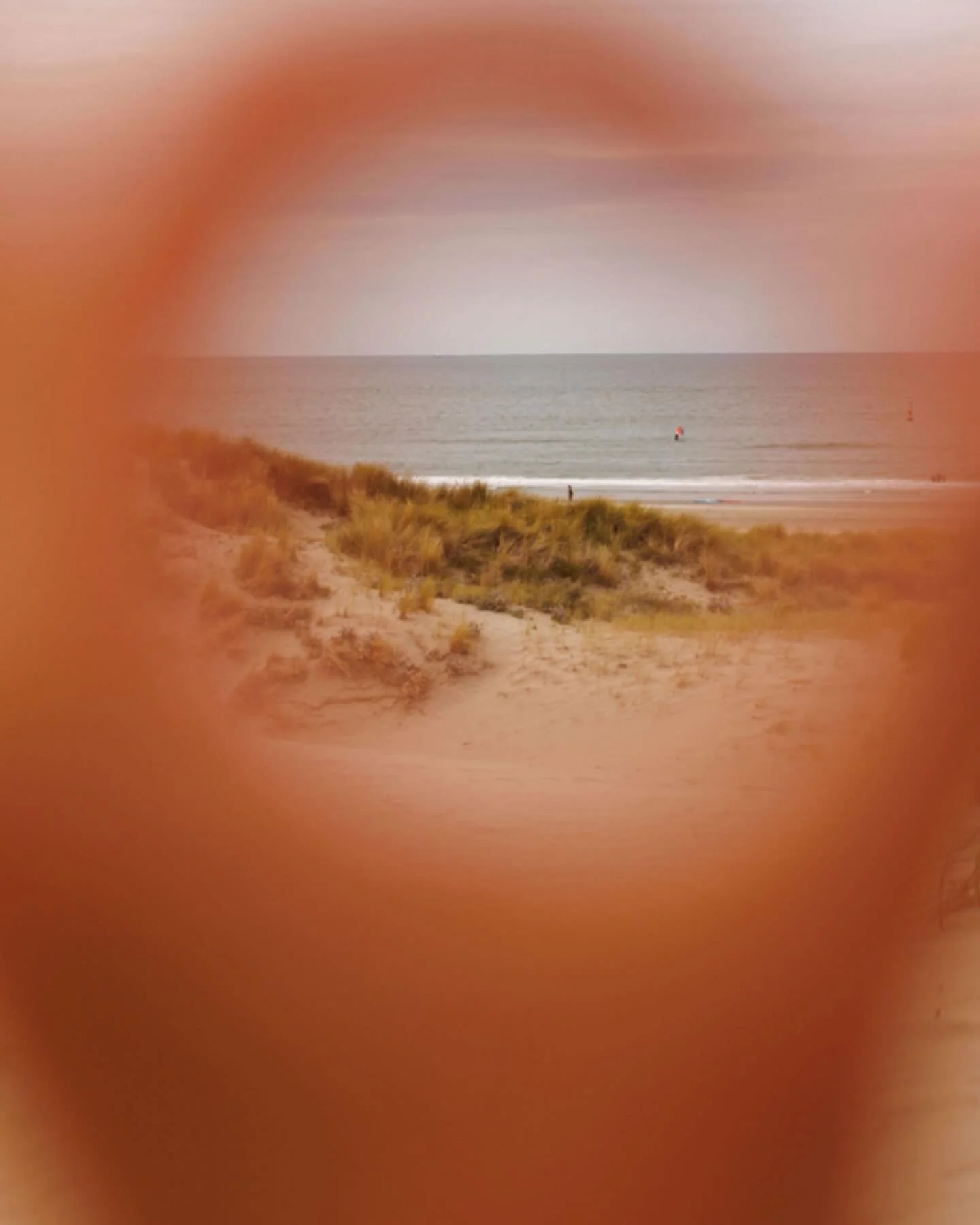 Elke branding-opdracht is voor mij een mini-masterclass in het specialisme van mijn klant.

Werken met iemand als Brenda was daarom extra leuk: haar innovatieve methode over ondernemen inspireert &eacute;n daagt uit.
Samen maakten we een identiteit d