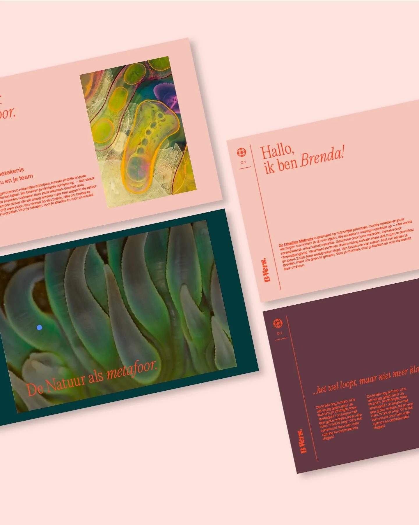 Een identiteit maken die beweegt 
Niet een logo, maar een verhaal dat groeit en inspireert.