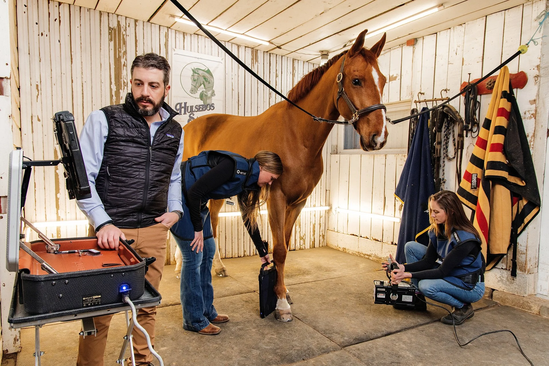 Three people working with a brown horse inside a wooden stable. One man holds a device, a woman is bending down near the horse's leg, and another woman is squatting with equipment. The stable has various horse gear hanging on the wall.