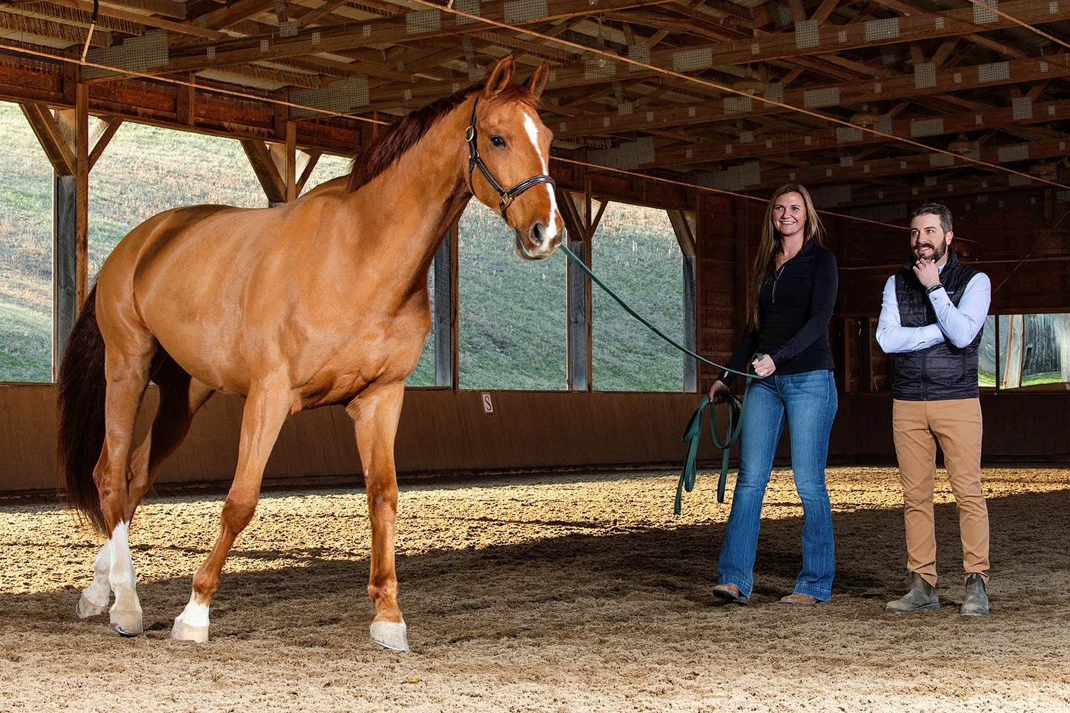 A woman in jeans and a black jacket holding a lead rope attached to a chestnut horse inside a wooden indoor riding arena. A man in beige pants and a black vest stands nearby, observing and smiling. The arena has large windows showing a grassy hillsid