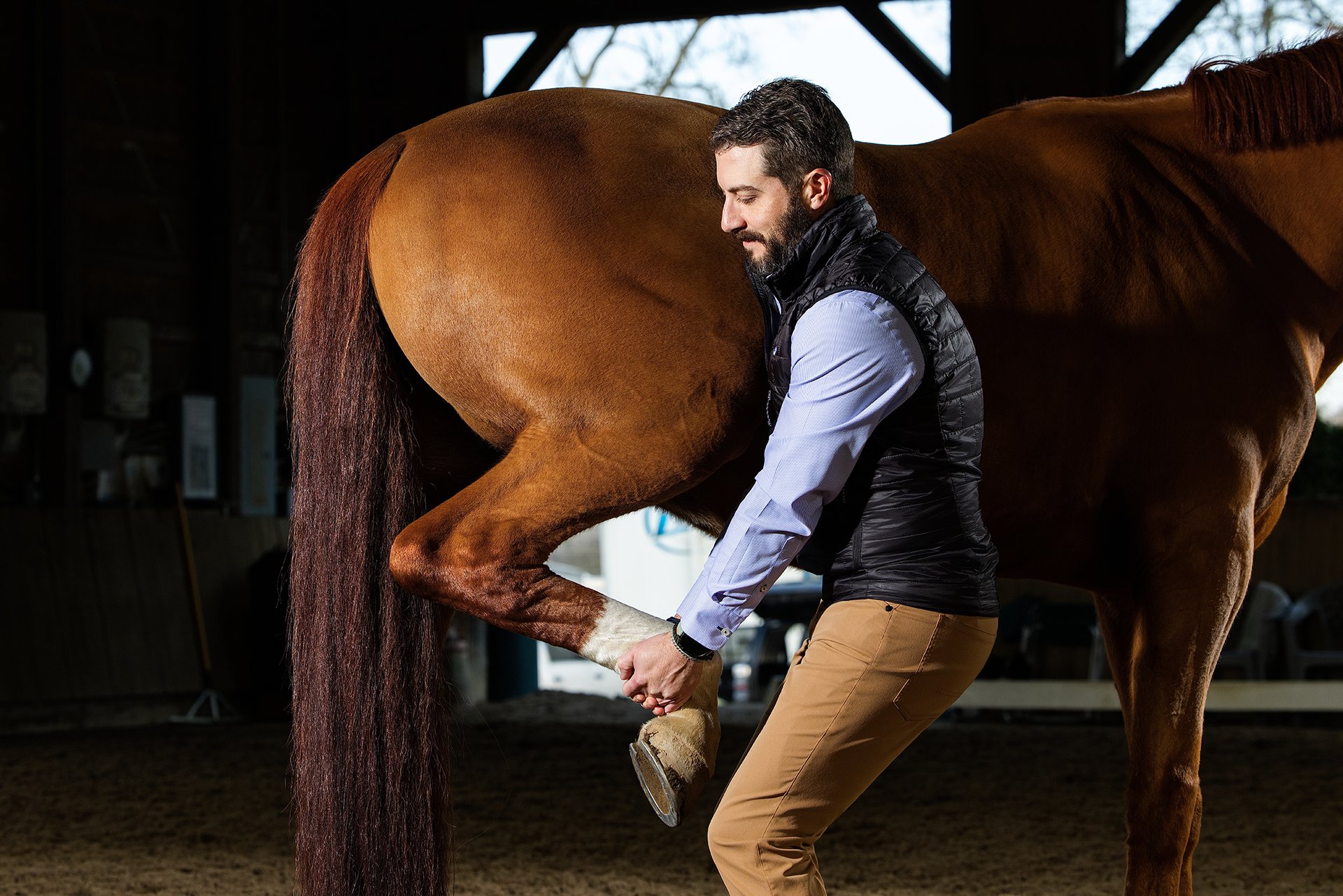 A male veterinarian is adjusting a brown horse's leg indoors, holding the horse's leg with his eyes closed.