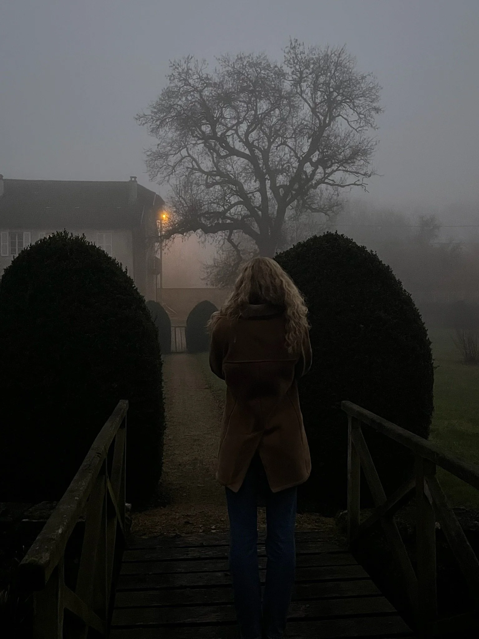 The  Gen Z  Urge  of Ambition