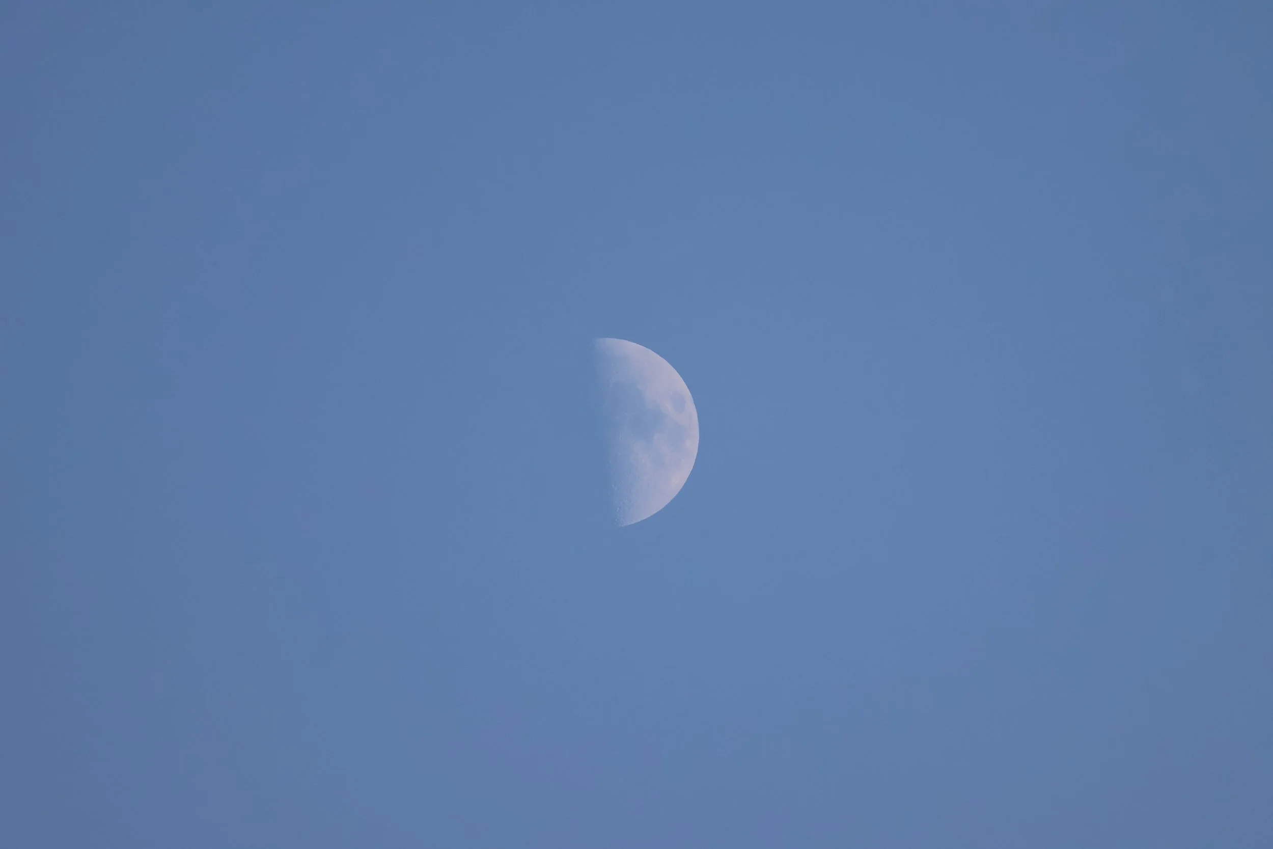  f/8, 1/1250, ISO 640, 400mm /  RF 100-400mm Lens  