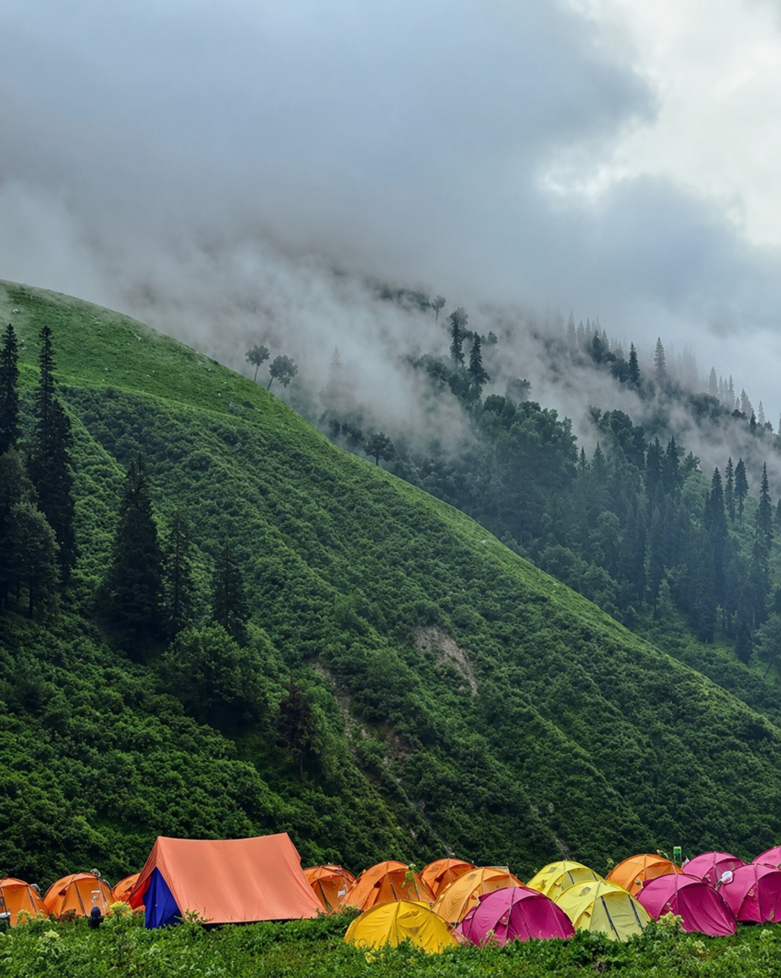 Colorful expedition tents at a mountain campsite surrounded by green hills, forests, and low clouds in the Himalayas.